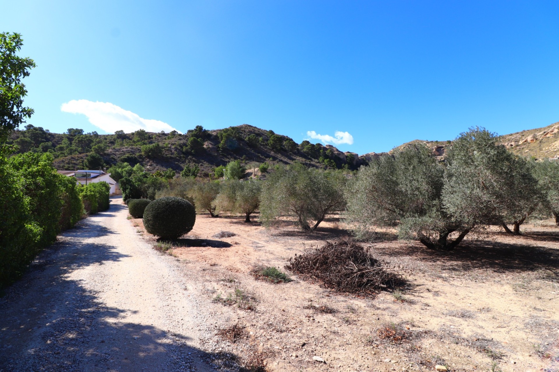 Reventa - Villa - Aspe