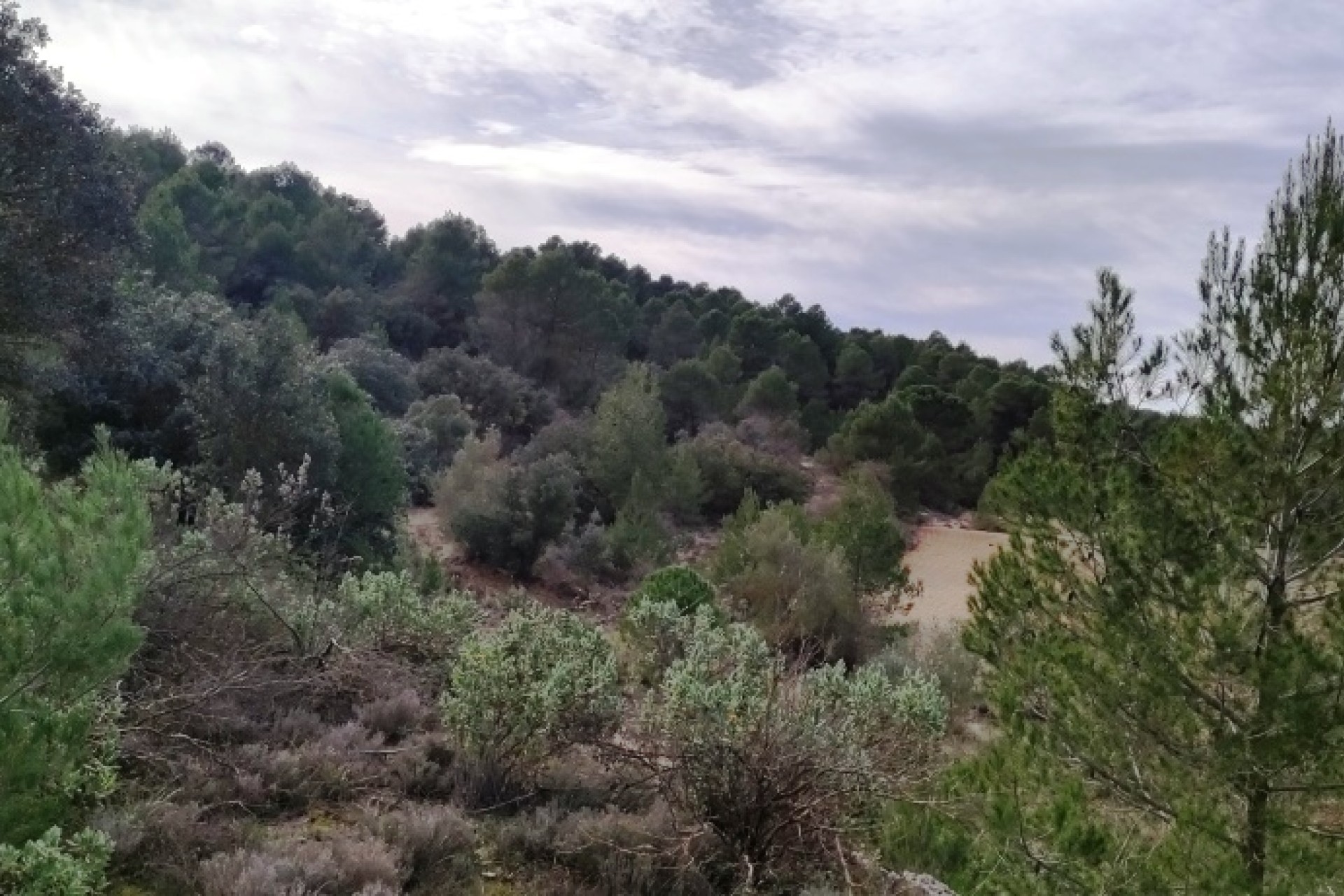 Reventa - Villa - Bocairent
