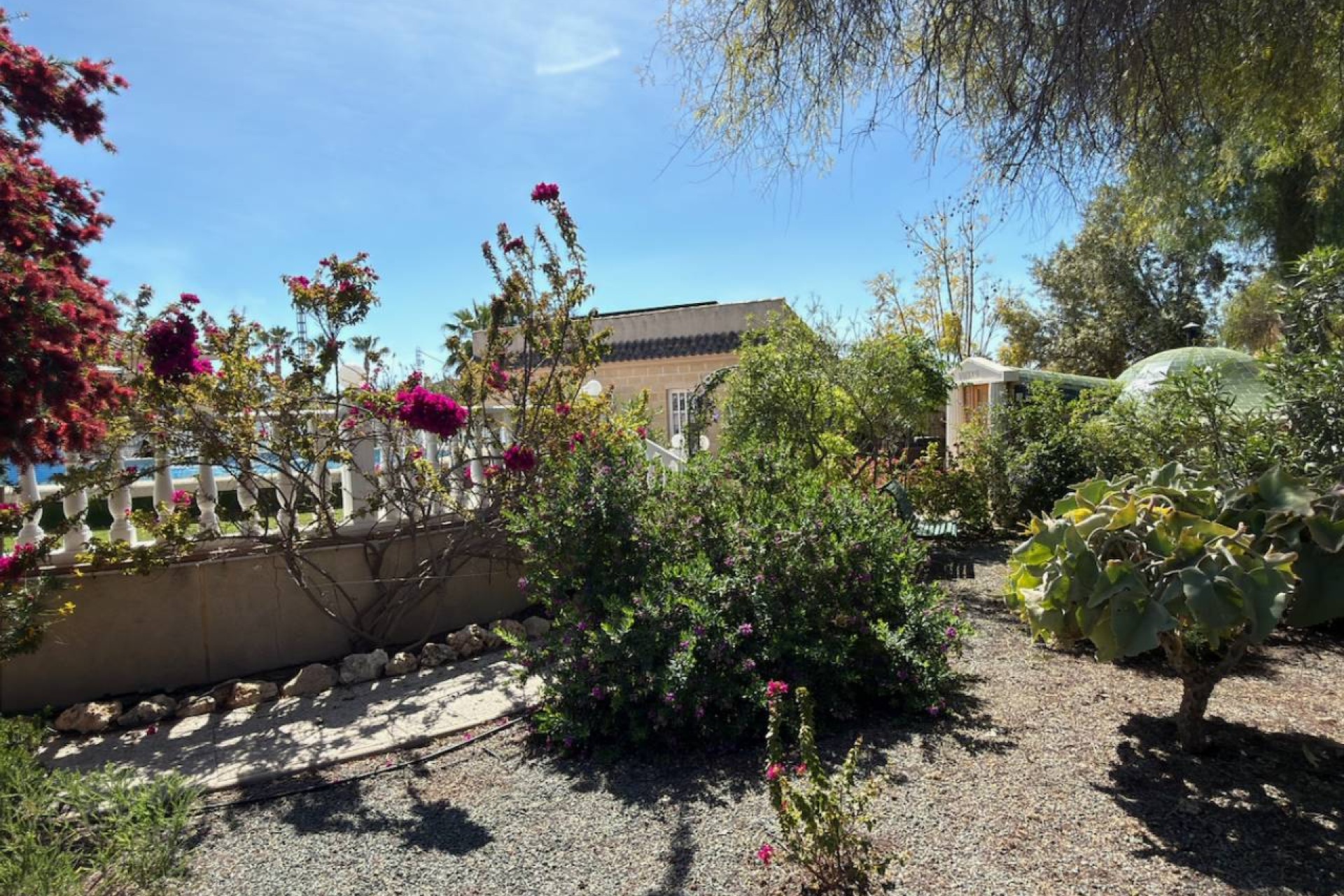 Reventa - Villa - Catral