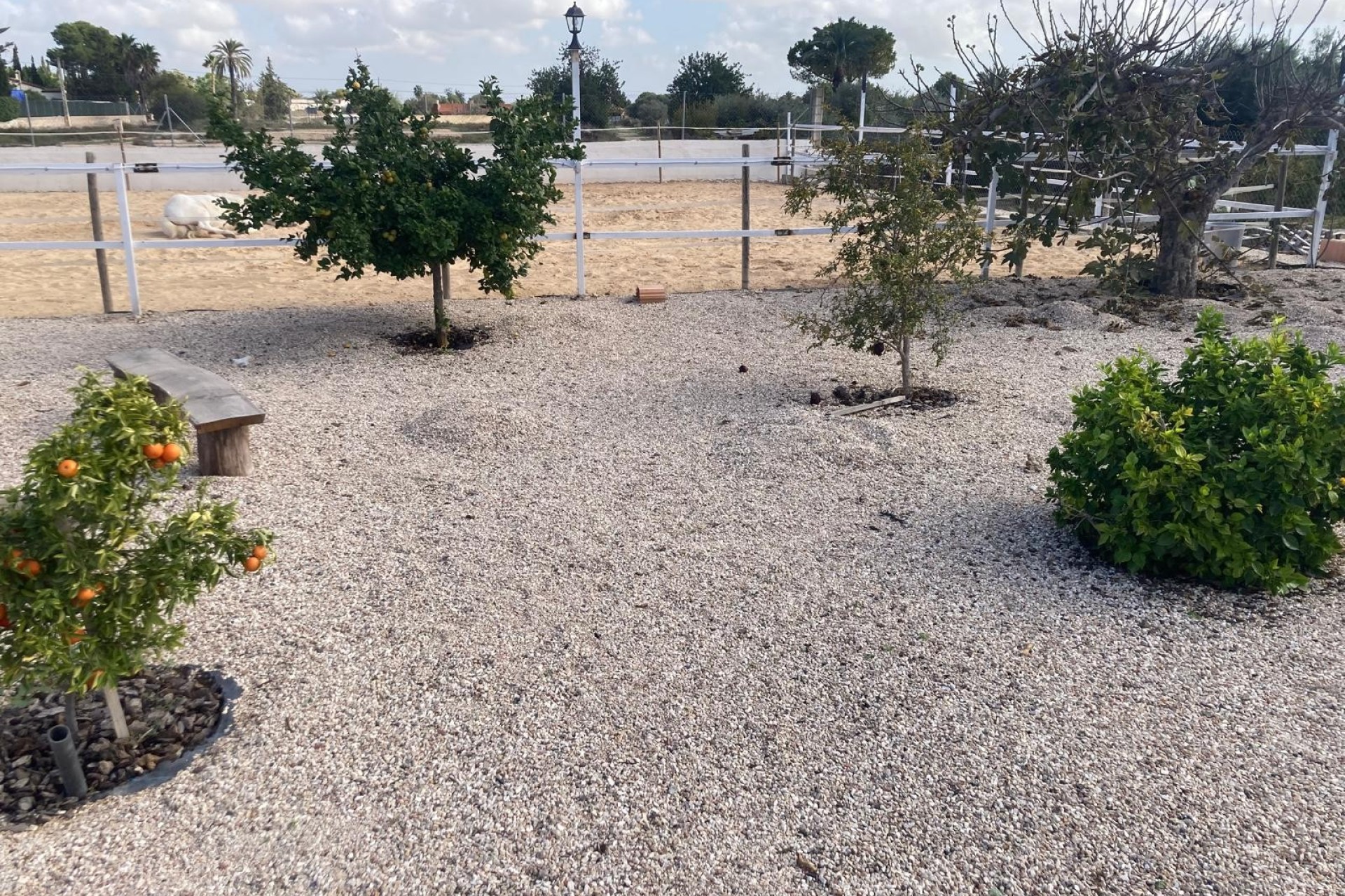 Reventa - Villa - Crevillente