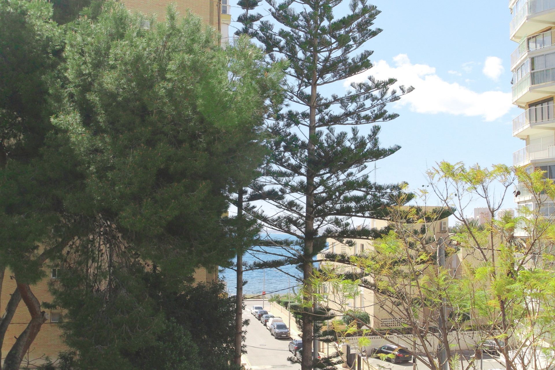 Reventa - Villa - El Campello