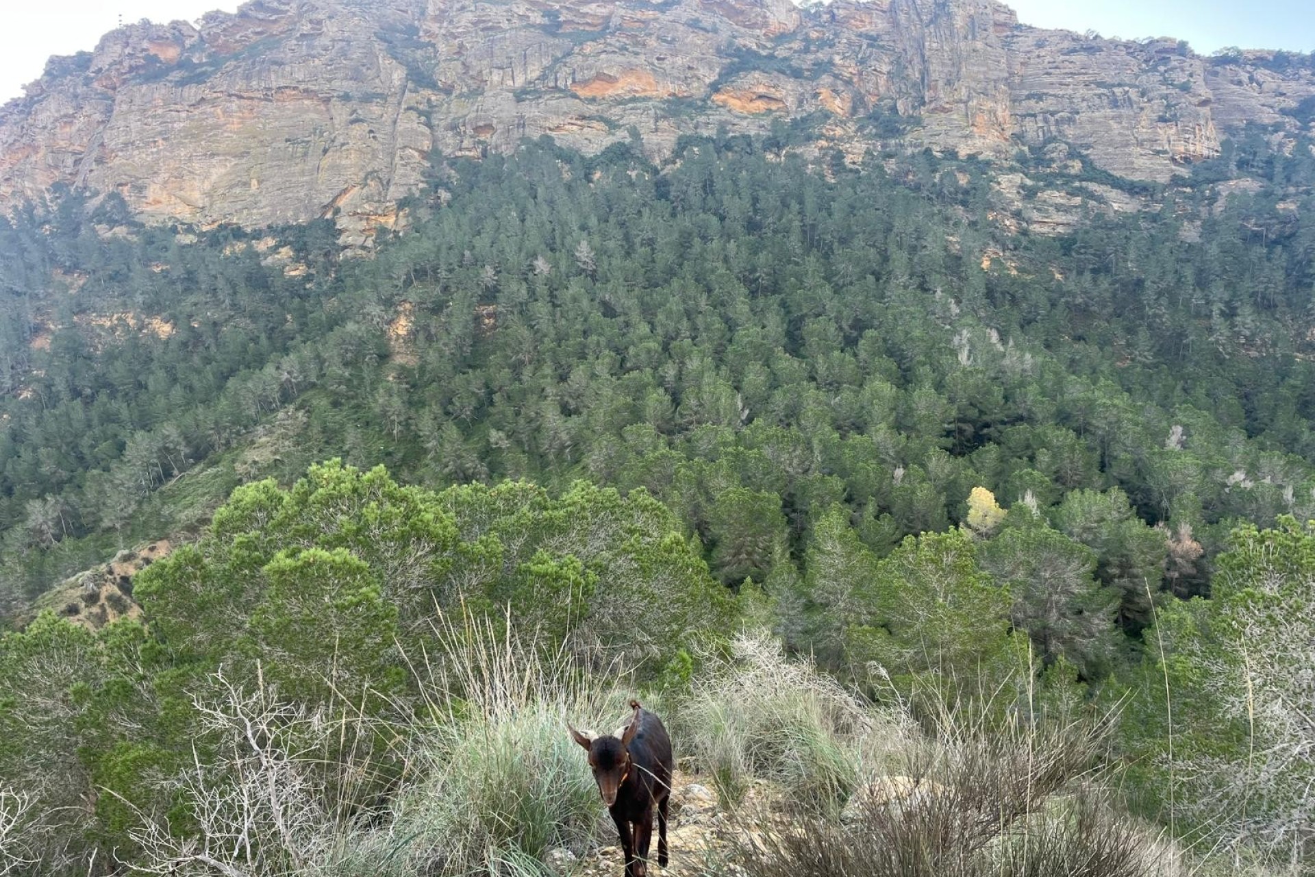 Reventa - Villa - Gea Truyols - Gea y Trujols