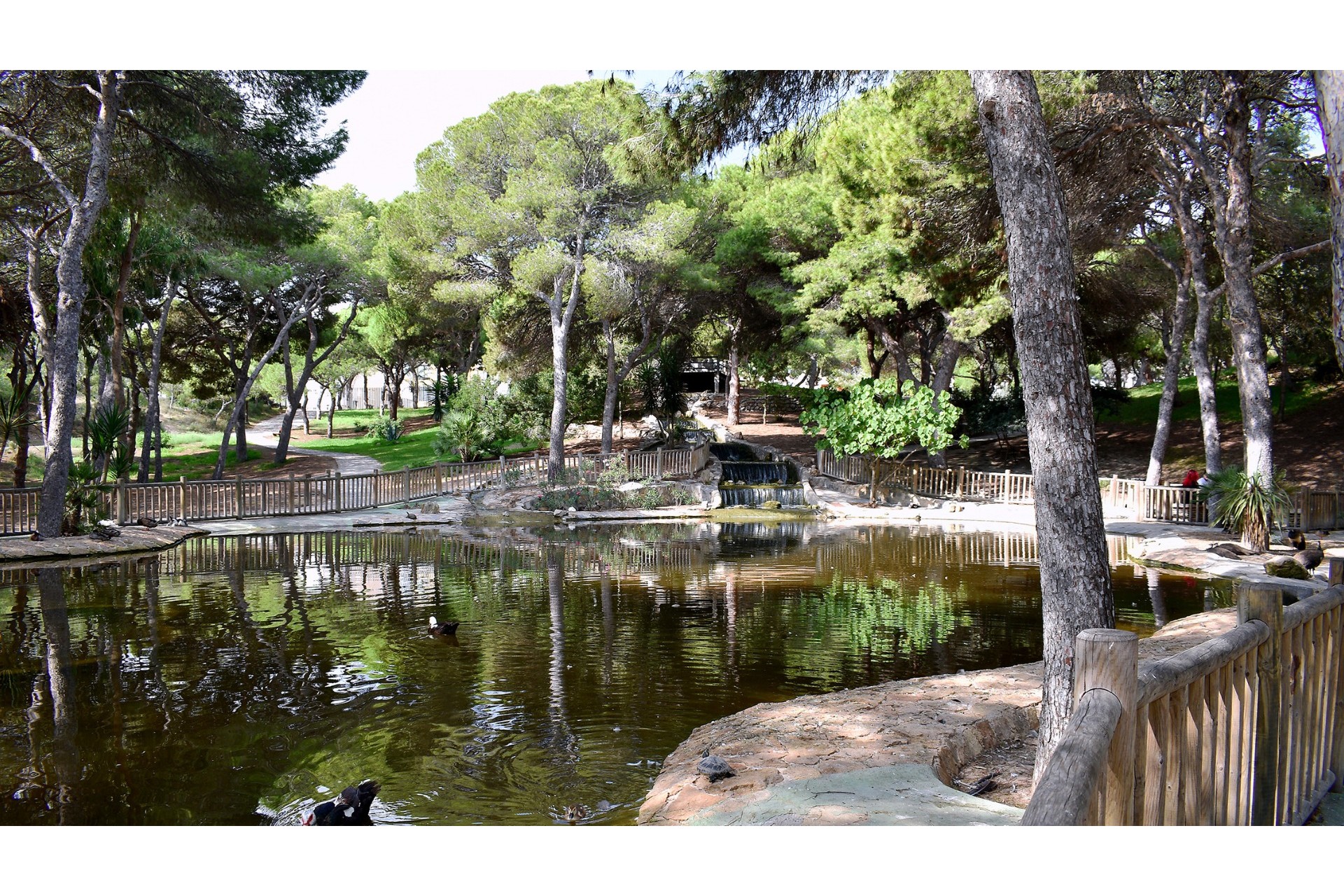 Reventa - Villa - Guardamar del Segura - El Moncayo