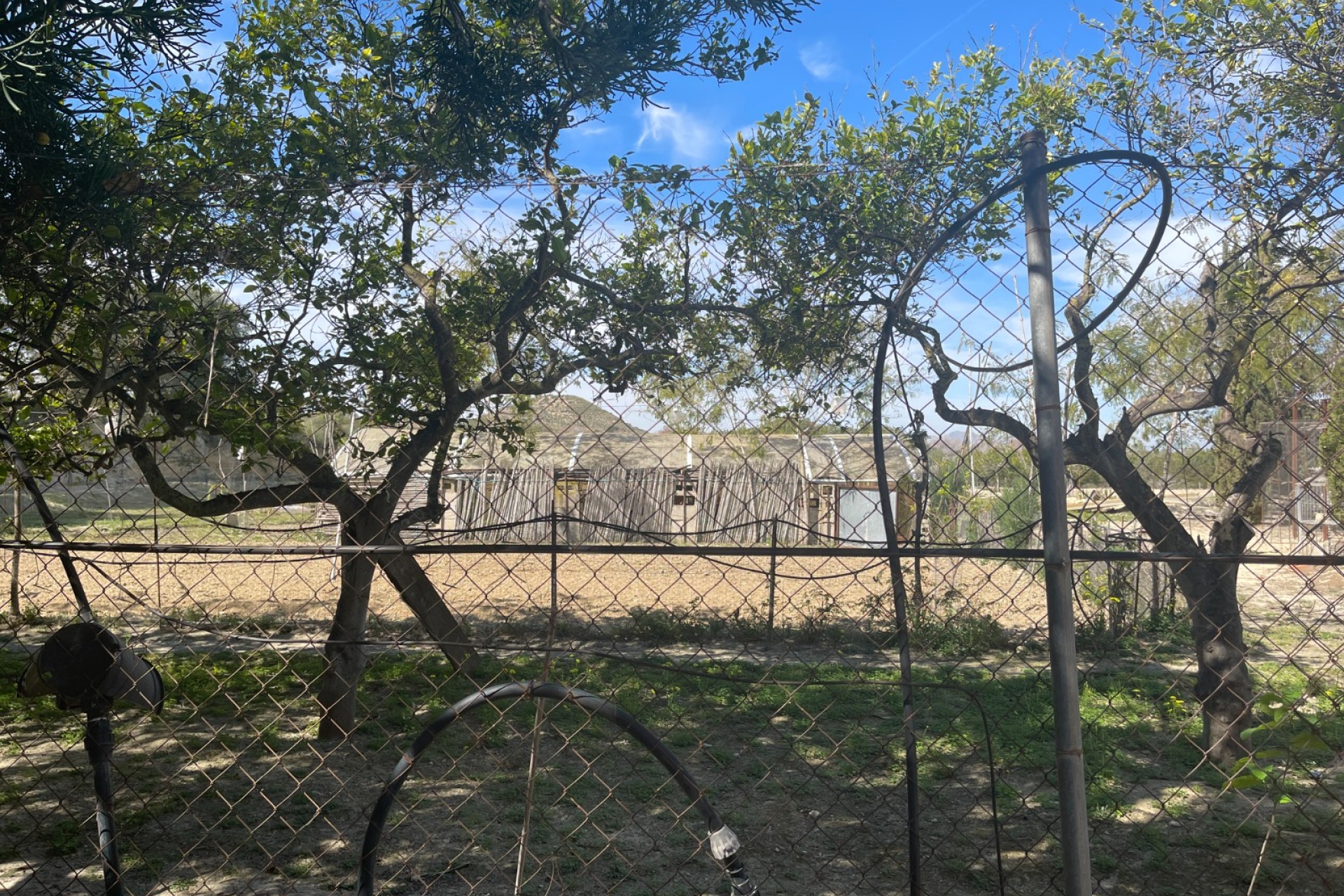 Reventa - Villa - Guardamar del Segura - Valencia