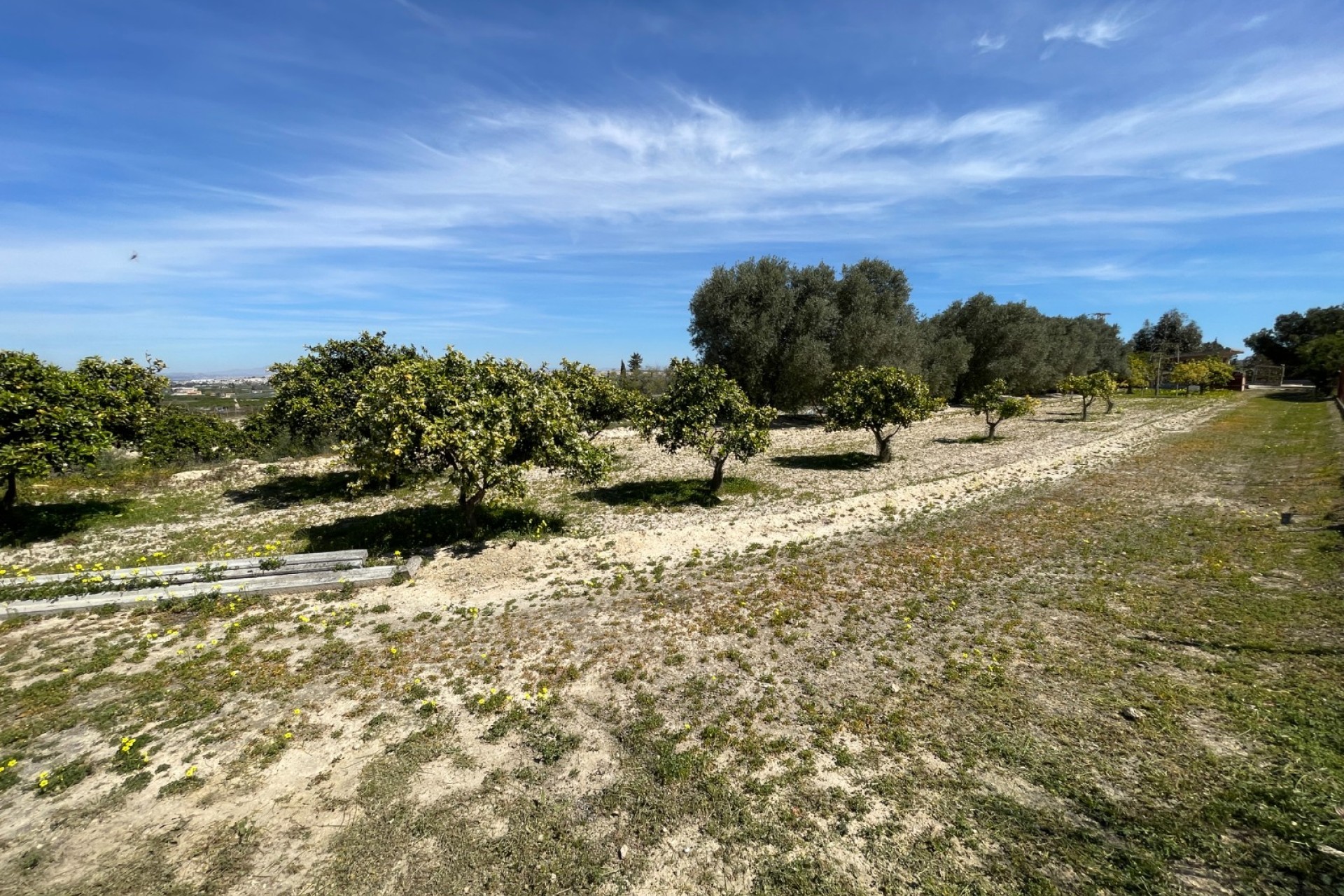 Reventa - Villa - Guardamar del Segura - Valencia