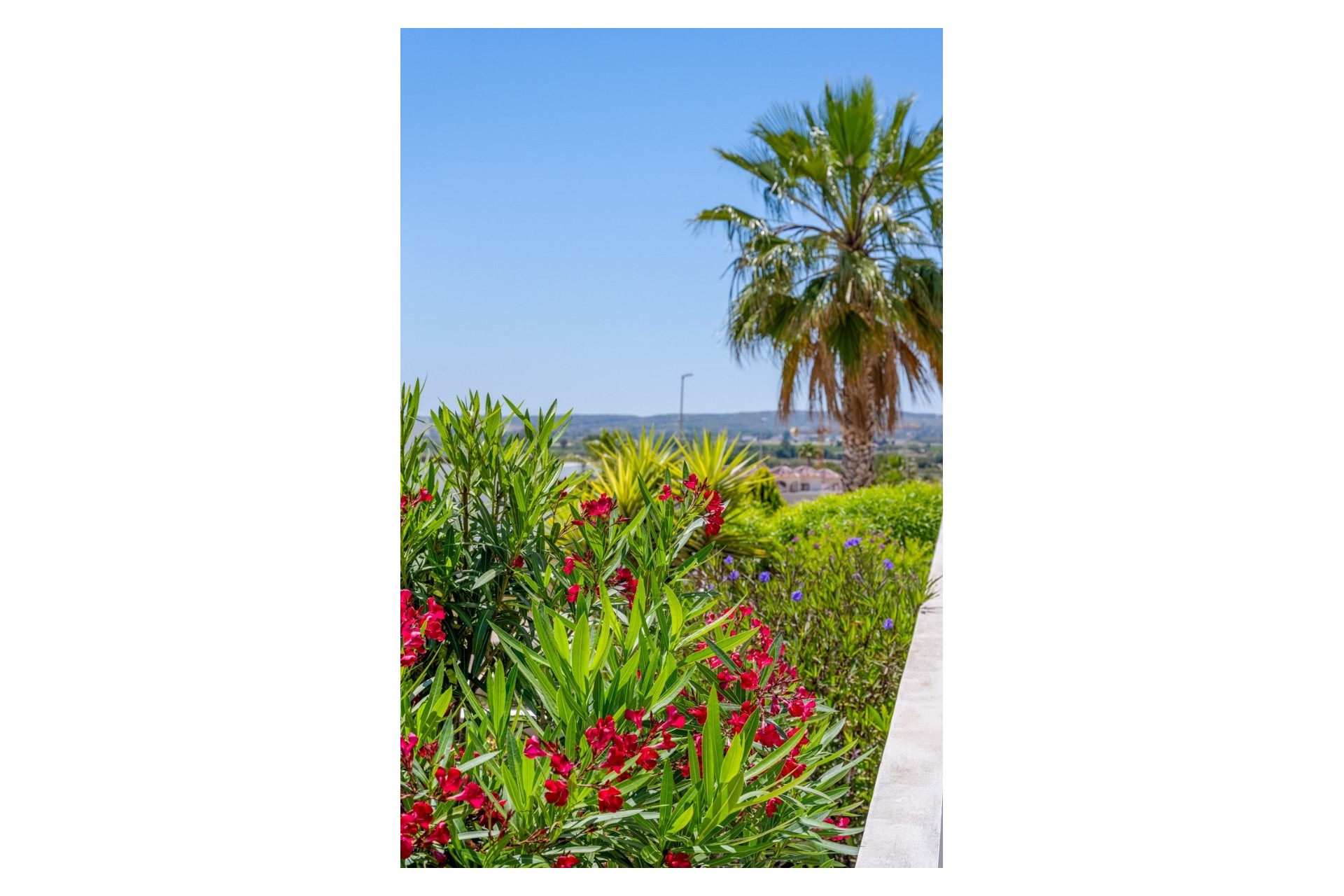 Reventa - Villa - La Marina