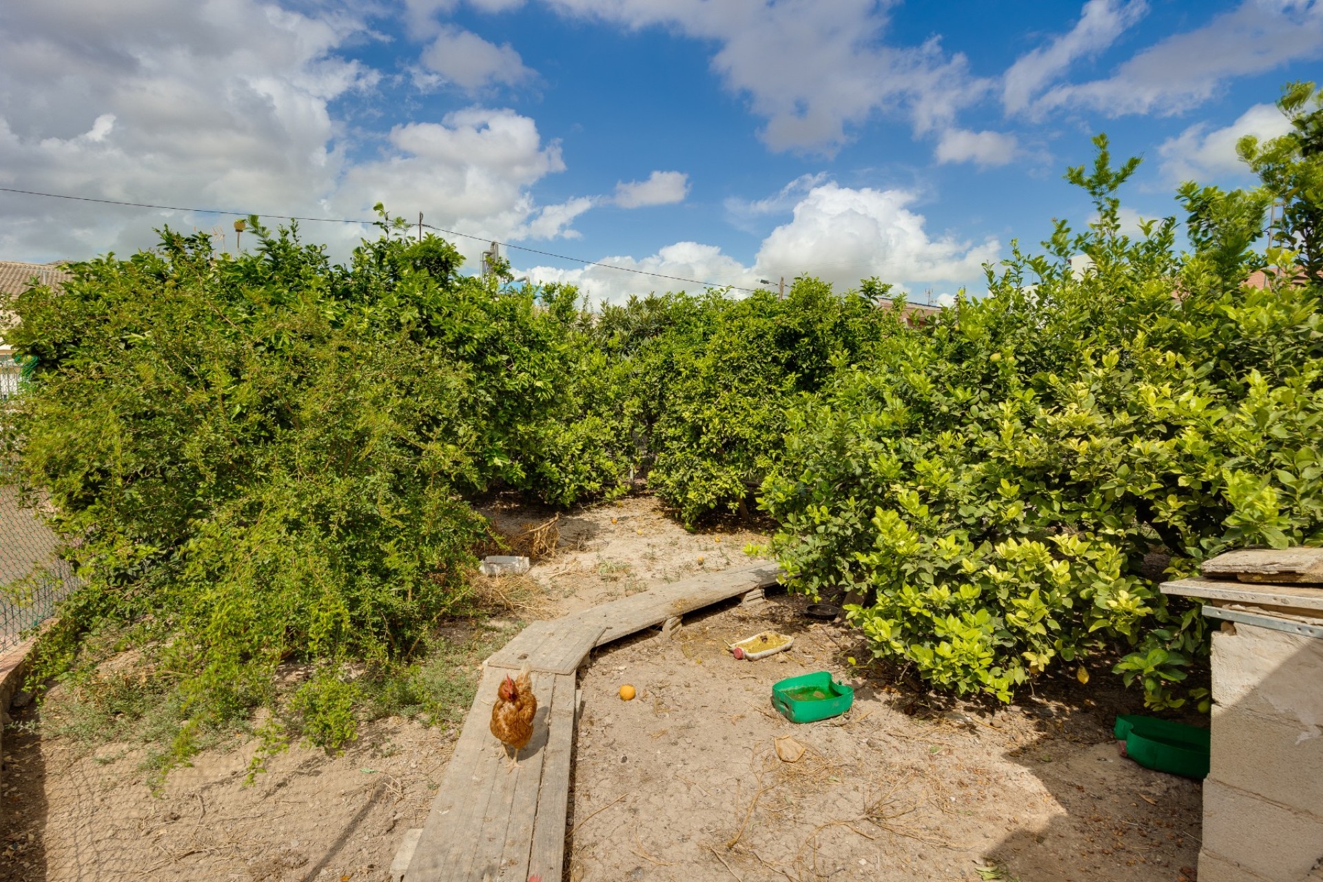 Reventa - Villa - Orihuela