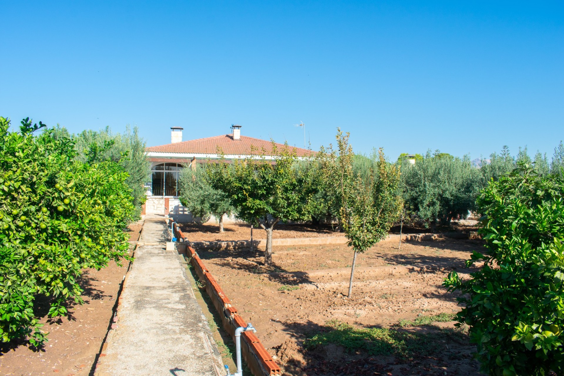 Reventa - Villa - San Vicente de Raspeig - San Vicente del Raspeig