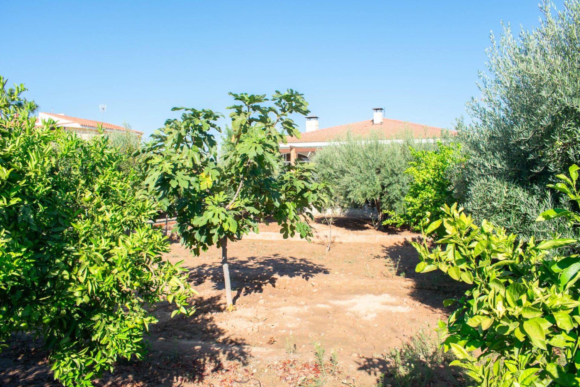 Reventa - Villa - San Vicente de Raspeig - San Vicente del Raspeig