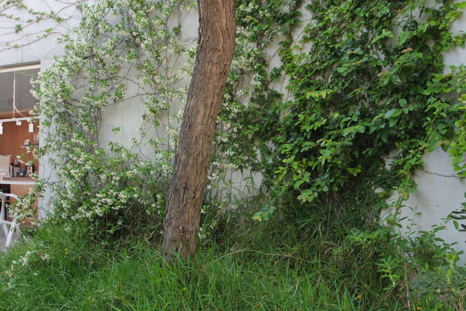 Reventa - Villa - San Vicente de Raspeig - San Vicente del Raspeig