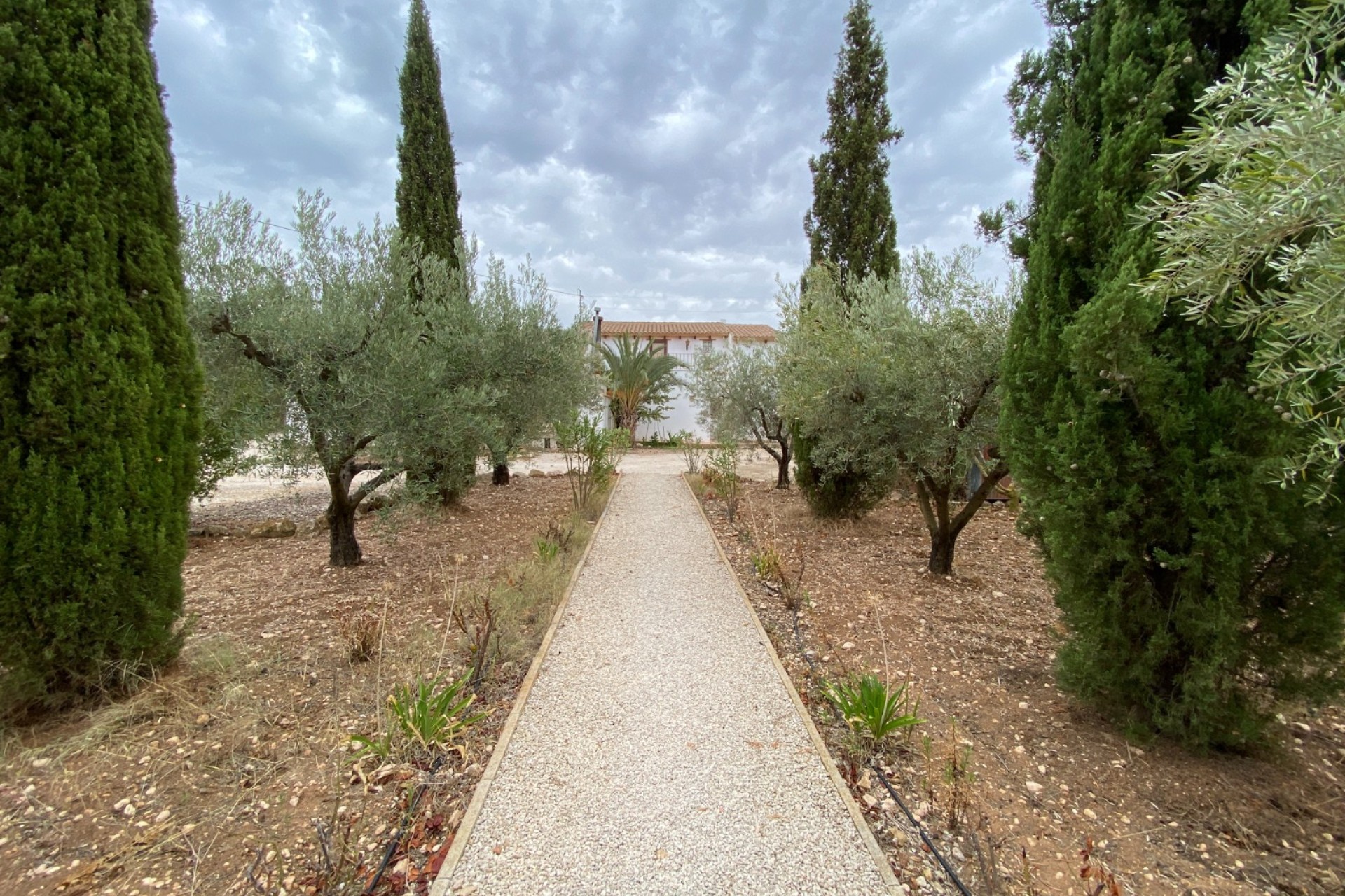 Reventa - Villa - Sax