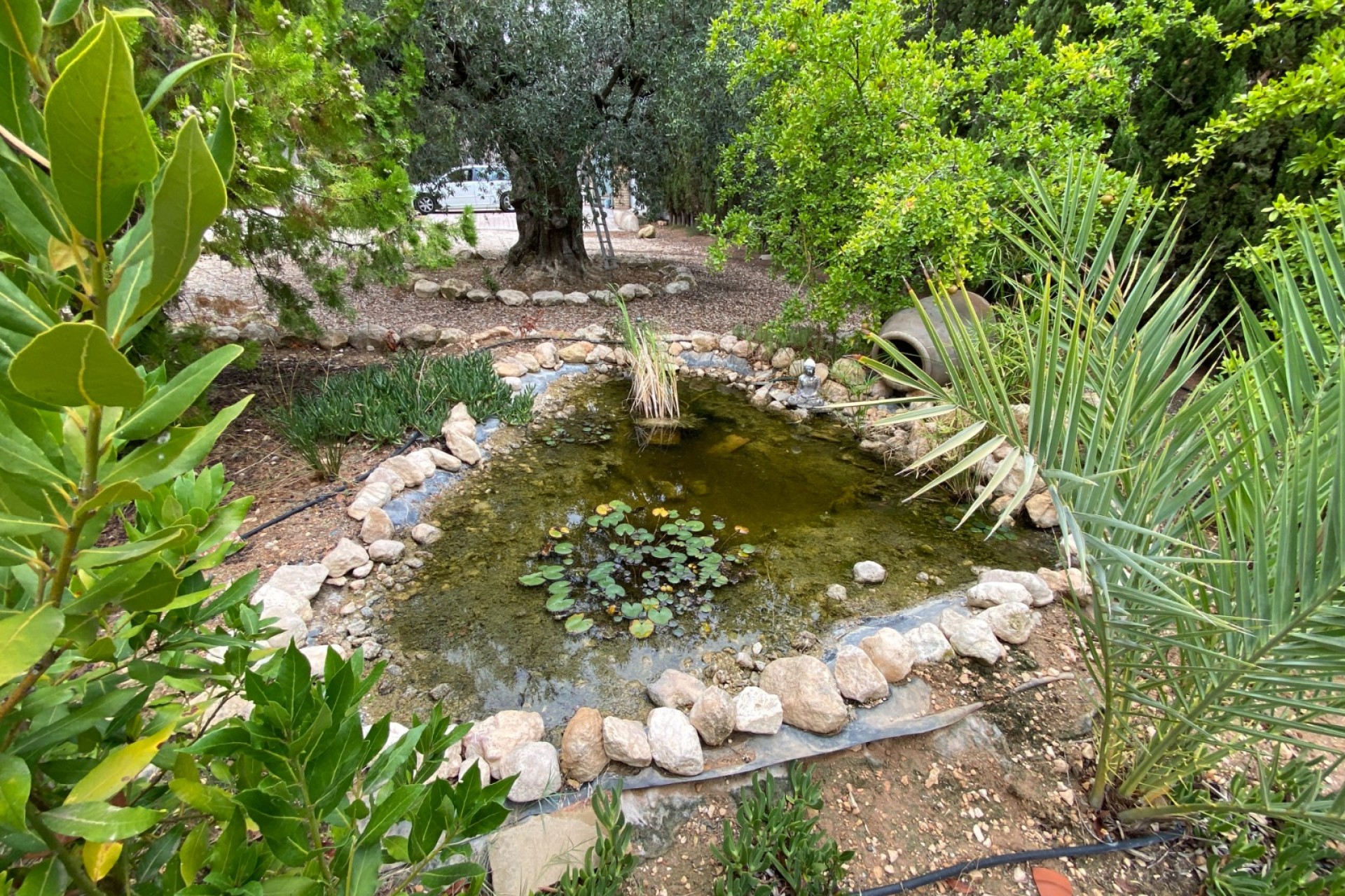 Reventa - Villa - Sax