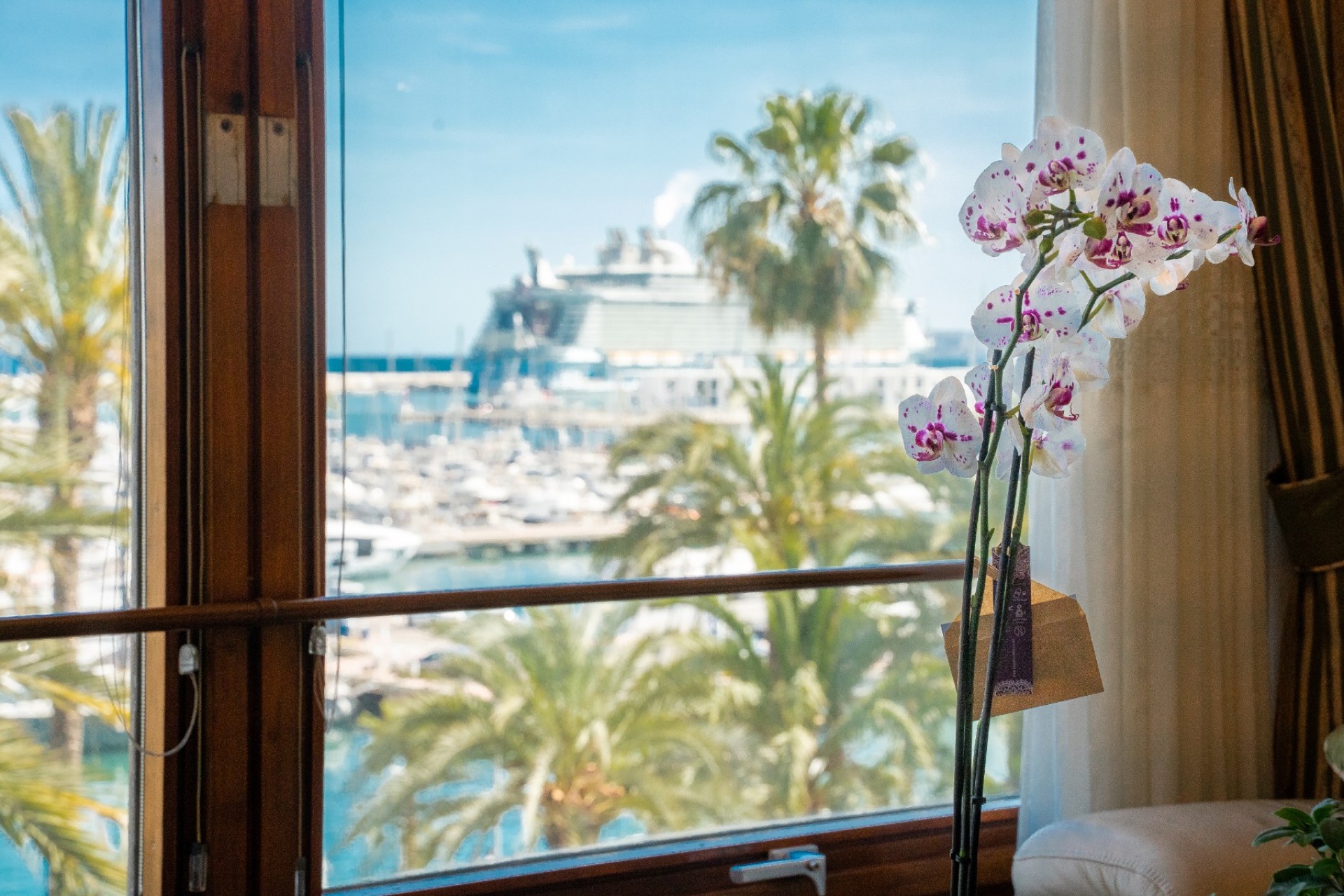 Revente - Apartment - Alicante - Center