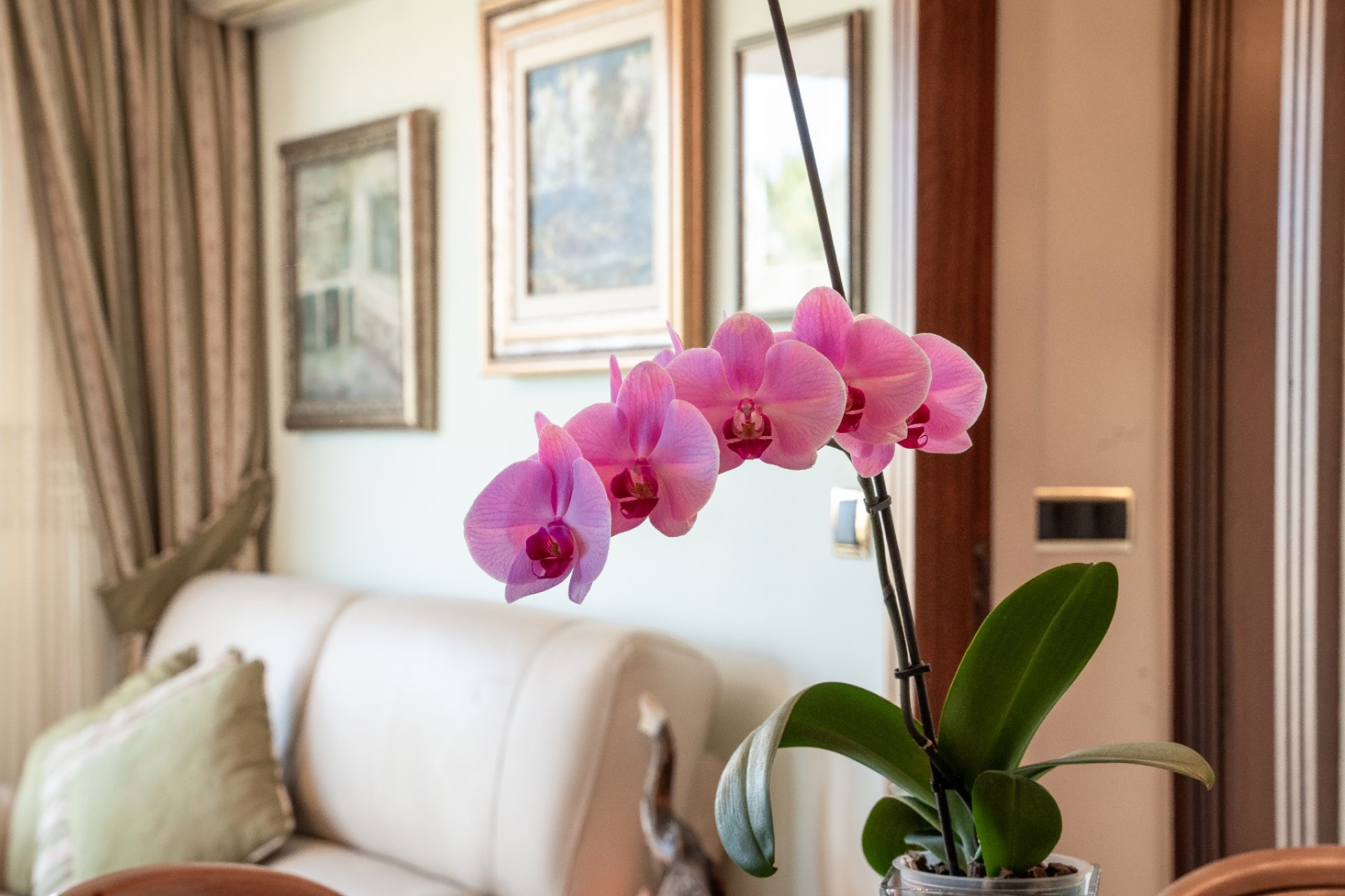 Revente - Apartment - Alicante - - Centro  -