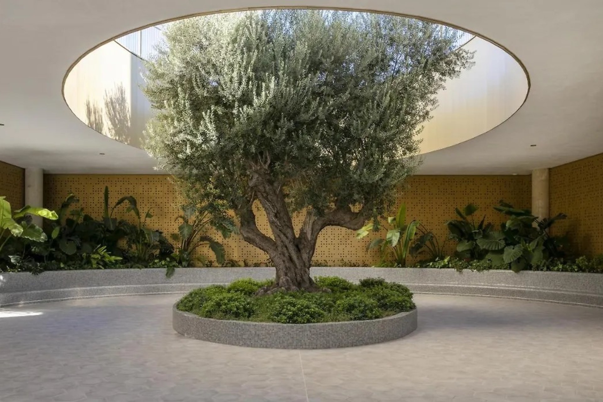 Revente - Apartment - Benidorm - Zona de Poniente