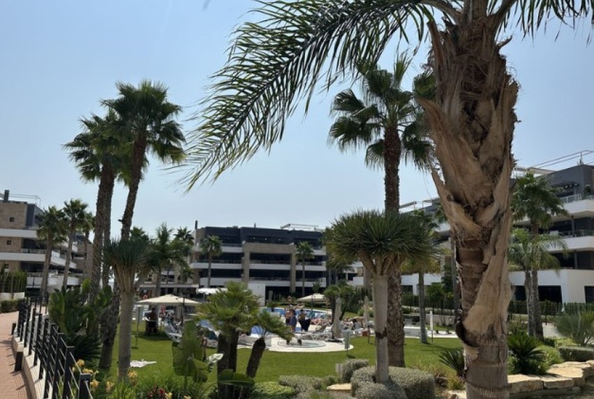 Revente - Apartment - Orihuela Costa - Playa Flamenca