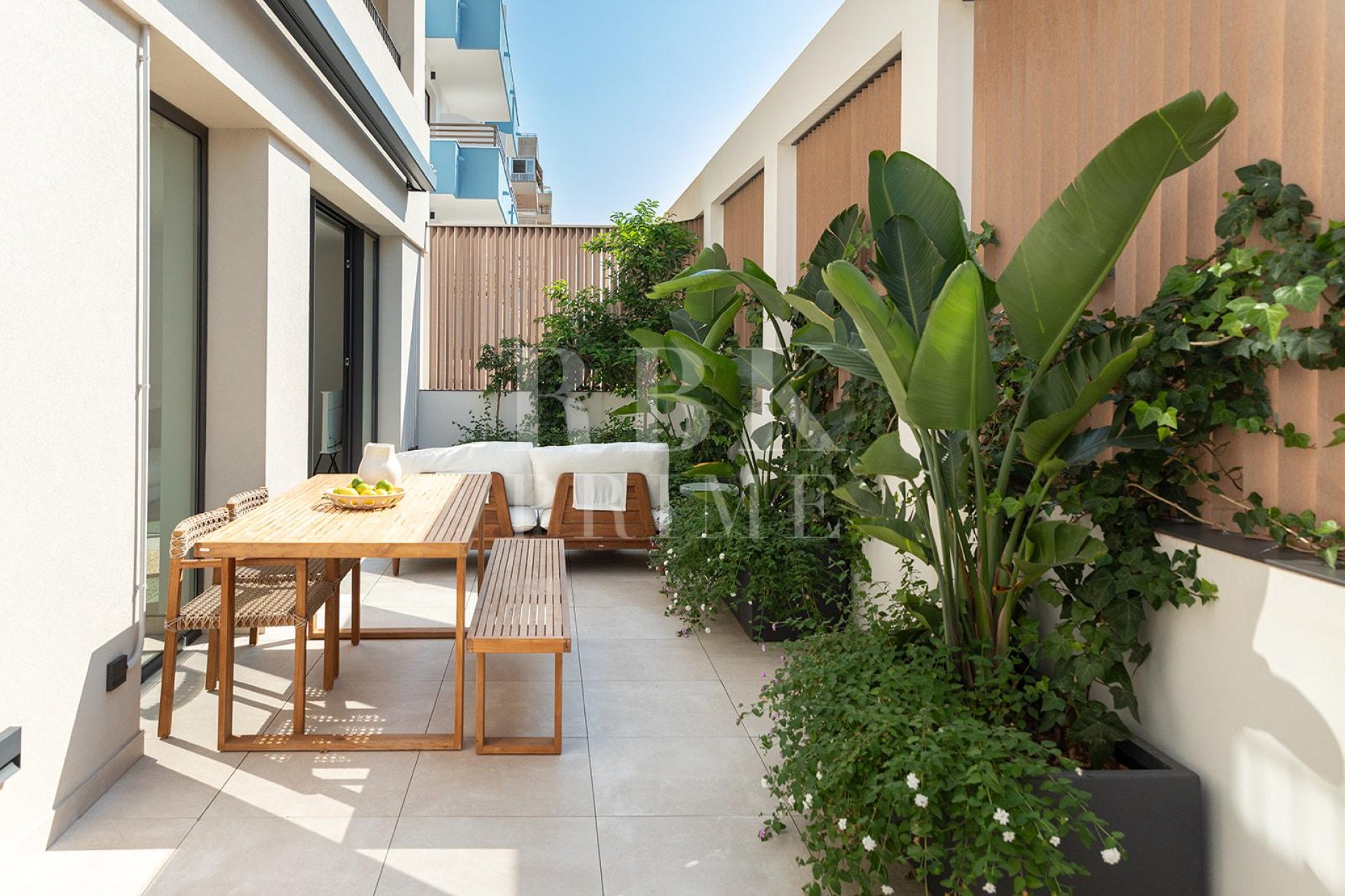 Revente - Apartment - Palma - Palma urbano