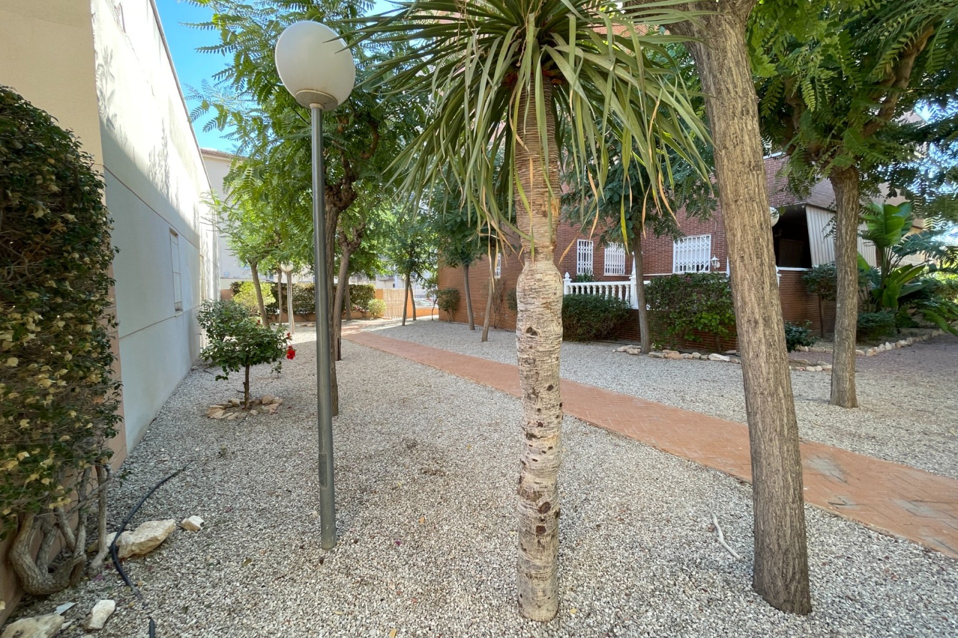 Revente - Maison - Elche - Center