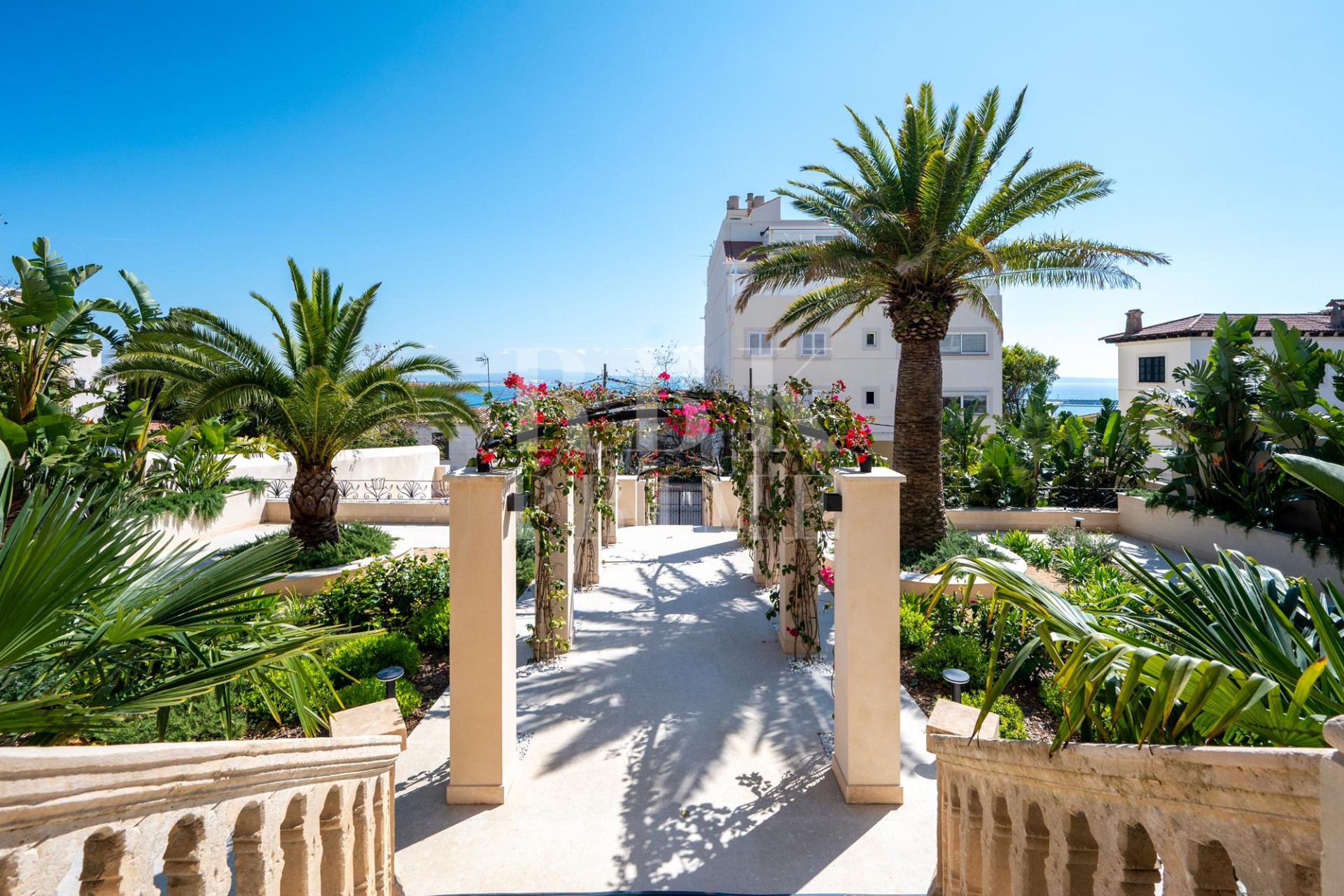 Revente - Palace - Palma - El Terreno