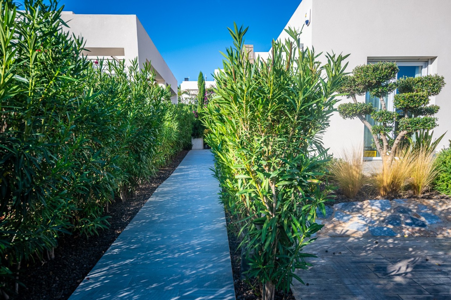 Revente - Villa - Algorfa - LA FINCA GOLF / ALGORFA