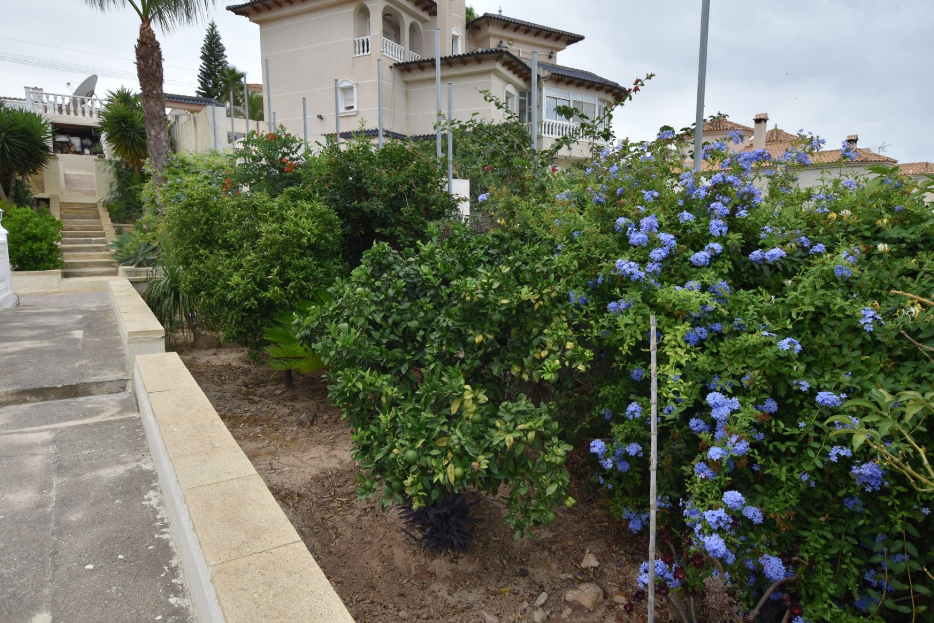 Revente - Villa - Algorfa - Montemar