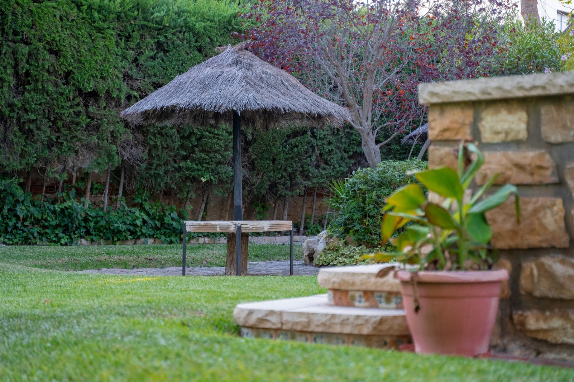 Revente - Villa - Alicante - Albufereta