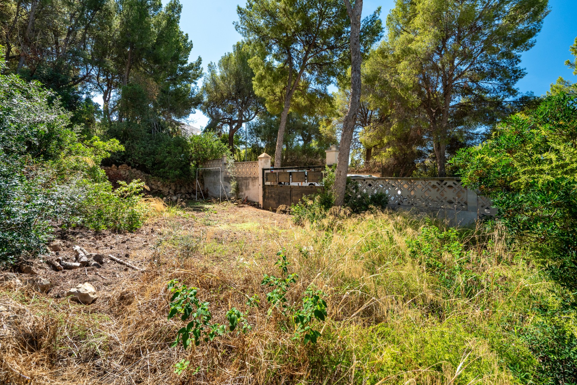 Revente - Villa - Calvià - Portals Nous