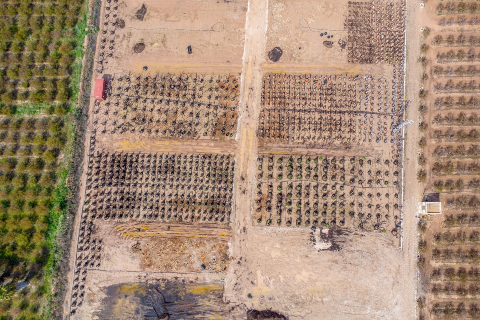 Revente - Villa - Crevillente