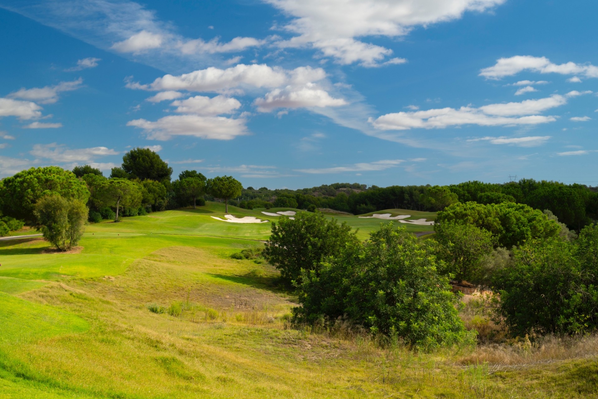 Revente - Villa - Dehesa de Campoamor - Dehesa de campoamor