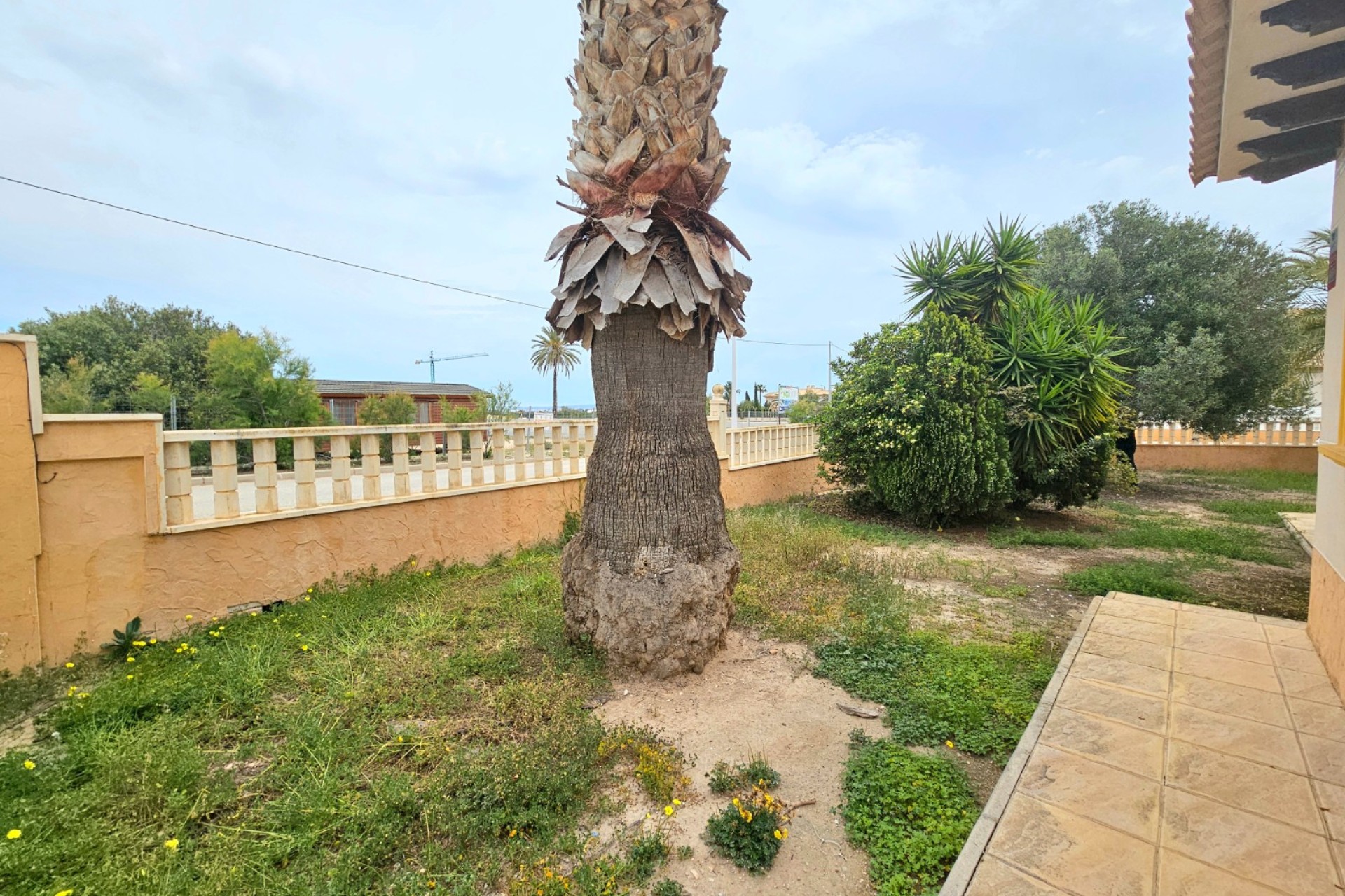 Revente - Villa - Elche - La Marina