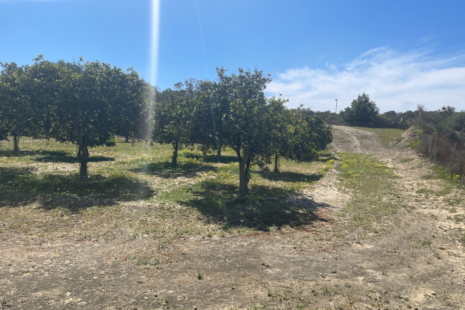 Revente - Villa - Guardamar del Segura - Valencia