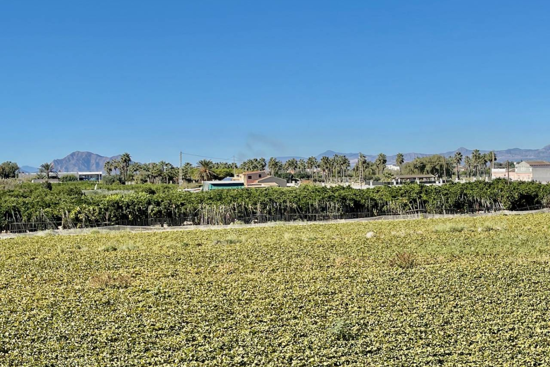 Revente - Villa - Guardamar del Segura