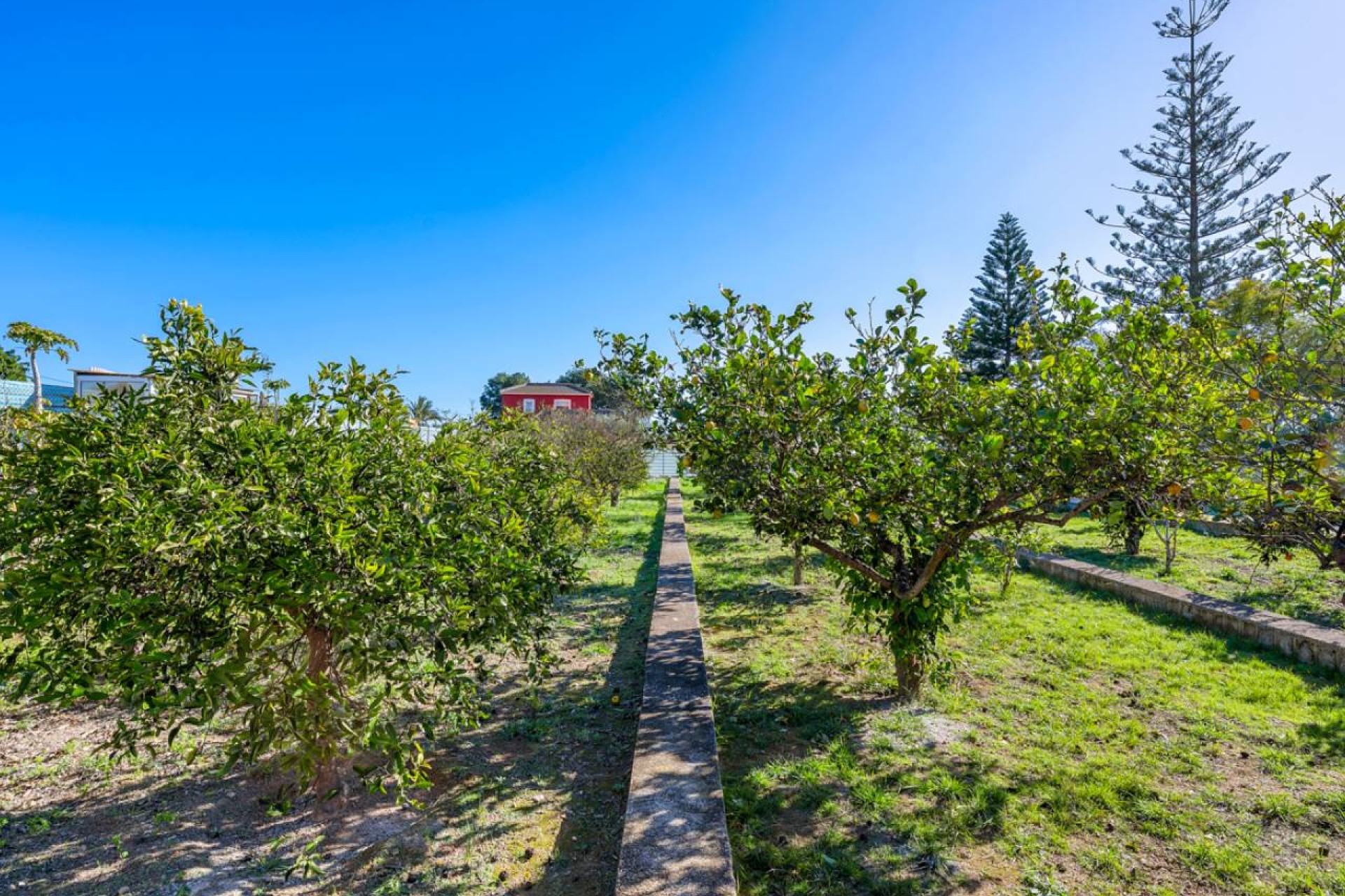 Revente - Villa - Los Montesinos