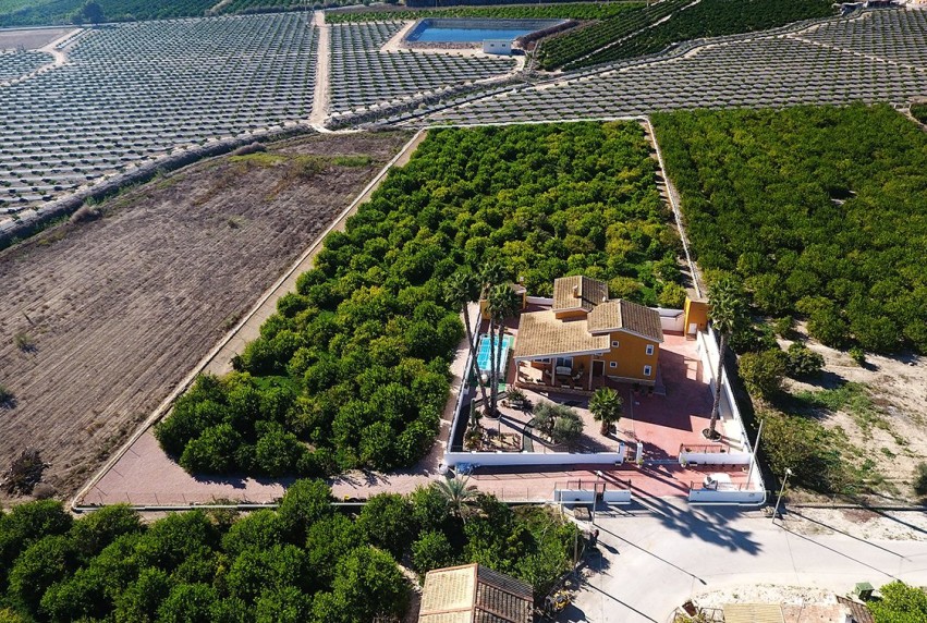 Revente - Villa - Orihuela Costa - Orihuela