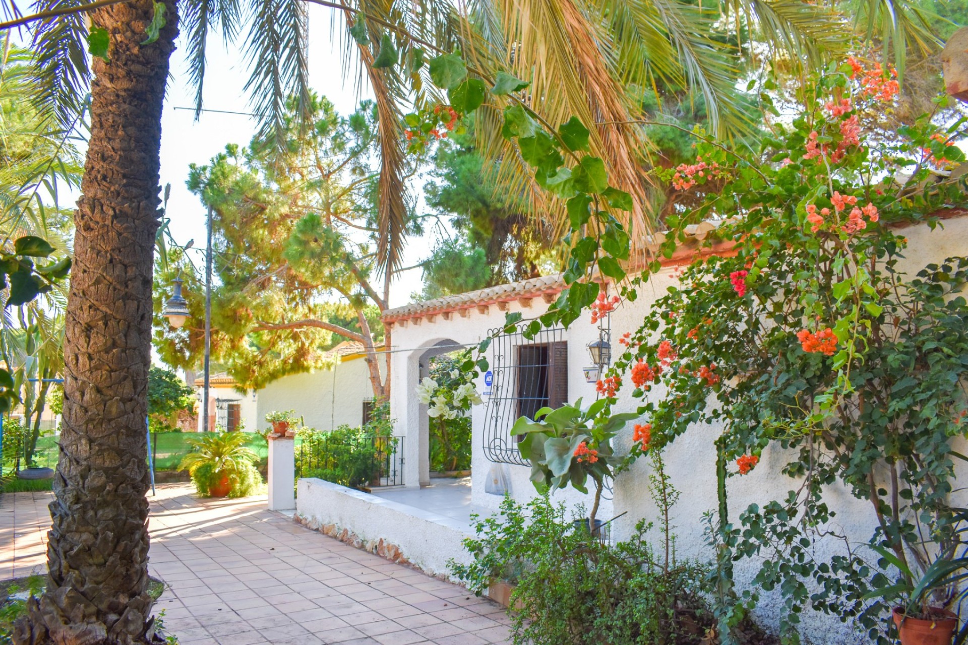 Revente - Villa - Orihuela Costa - Punta Prima