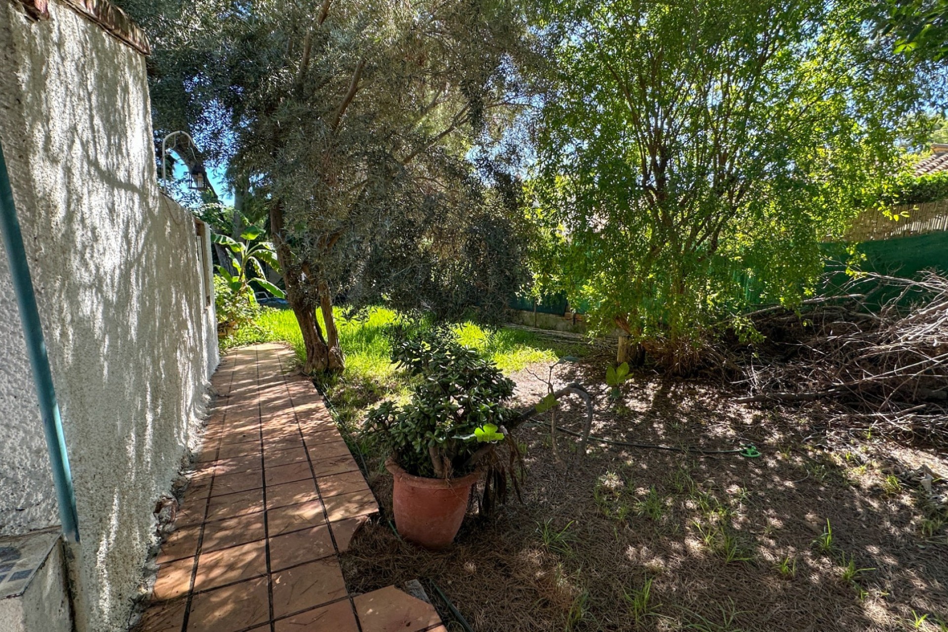 Revente - Villa - Orihuela Costa - Punta Prima