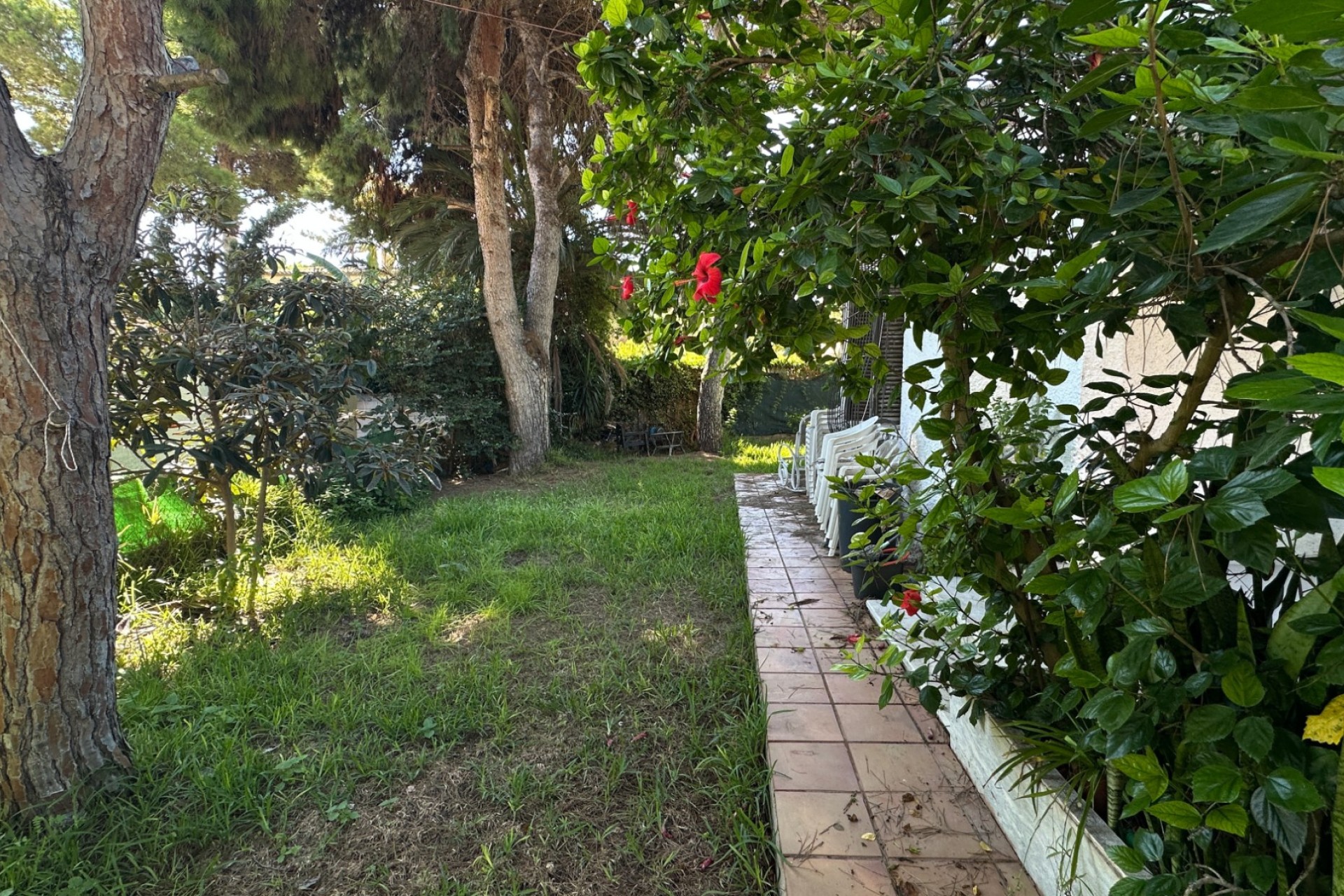 Revente - Villa - Orihuela Costa - Punta Prima