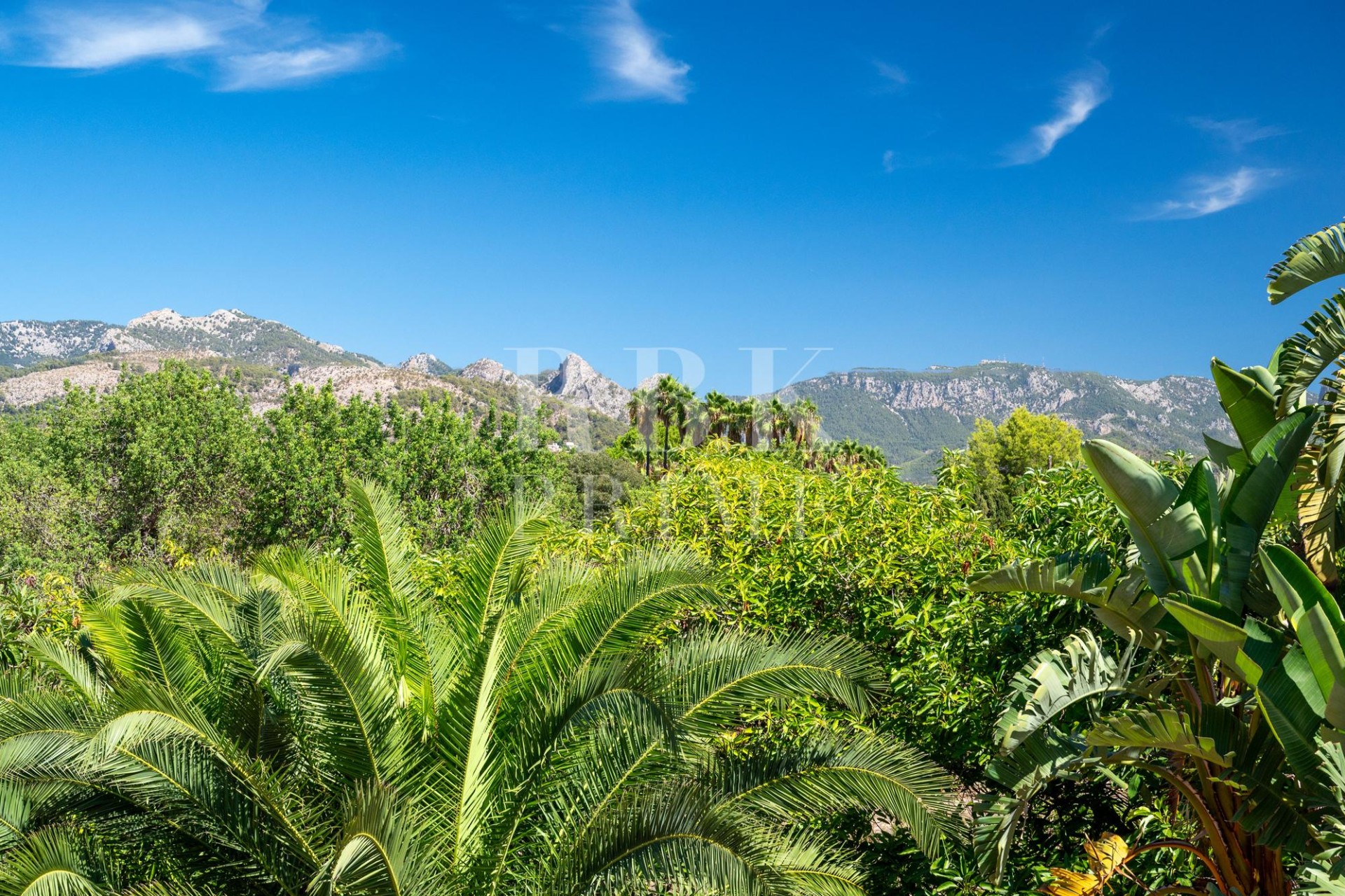 Revente - Villa - Palma - Palma rural