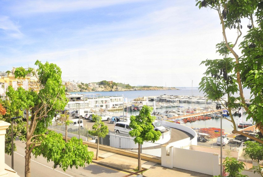 Revente - Villa - Palma - Palma urbano