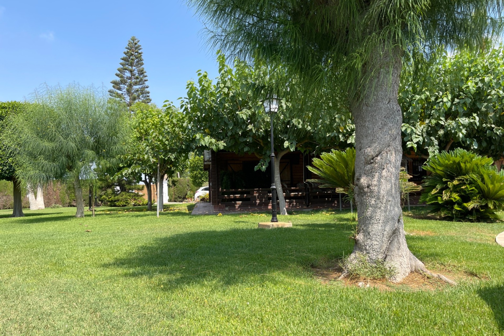 Revente - Villa - San Fulgencio - La Marina