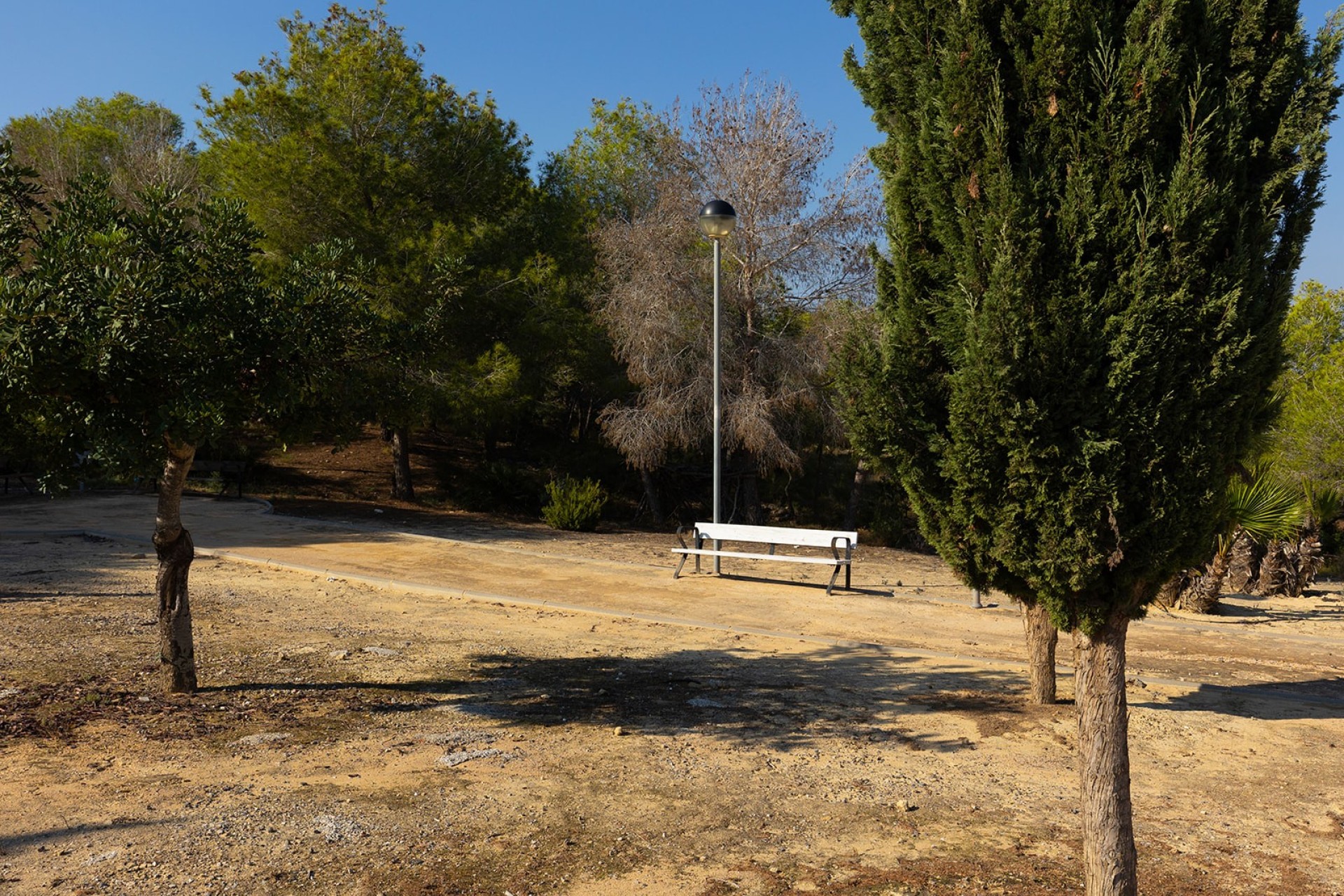 Revente - Villa - San Miguel de Salinas - Mirador De San Miguel
