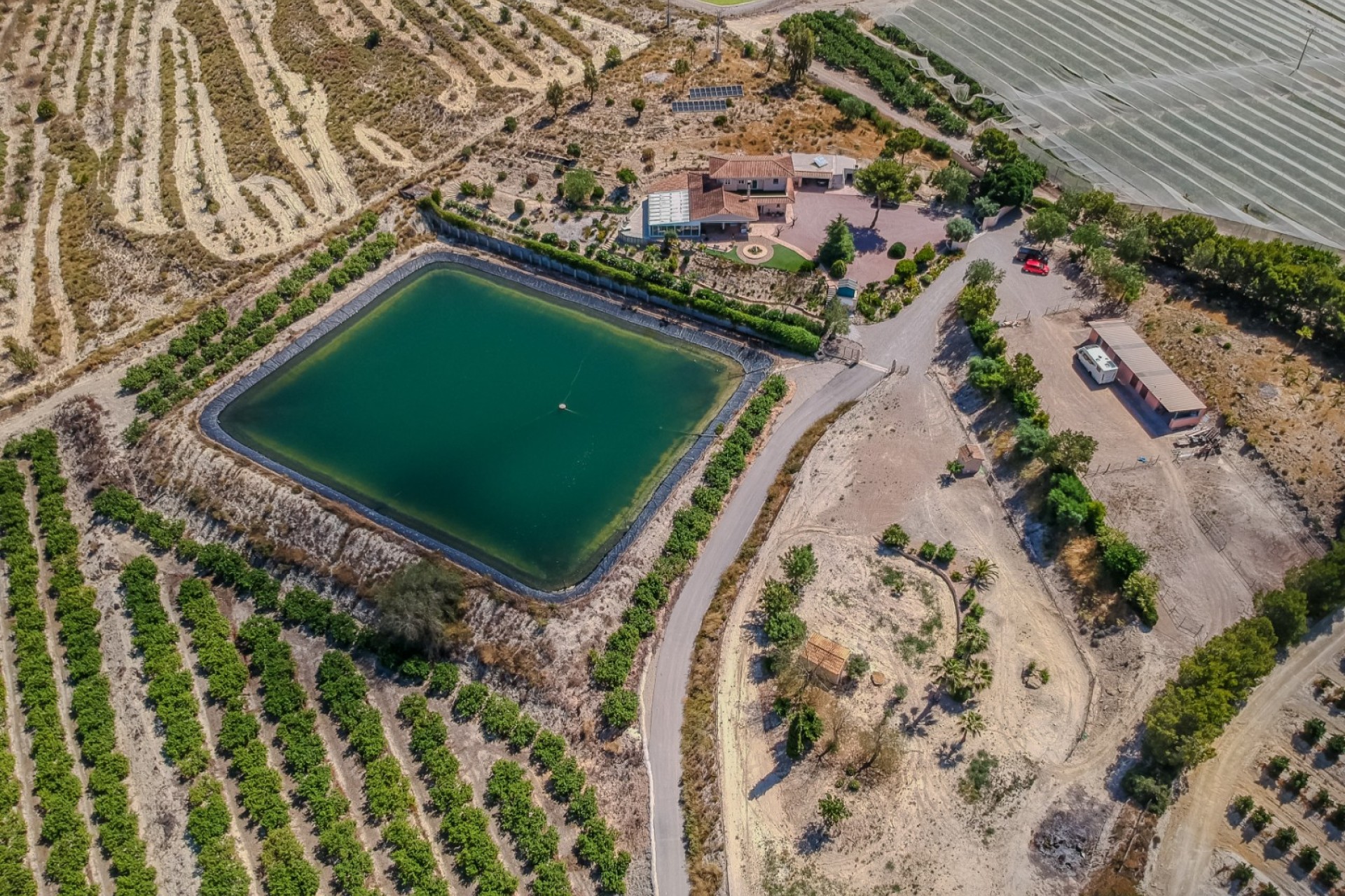 Revente - Villa - San Miguel de Salinas - Torremendo