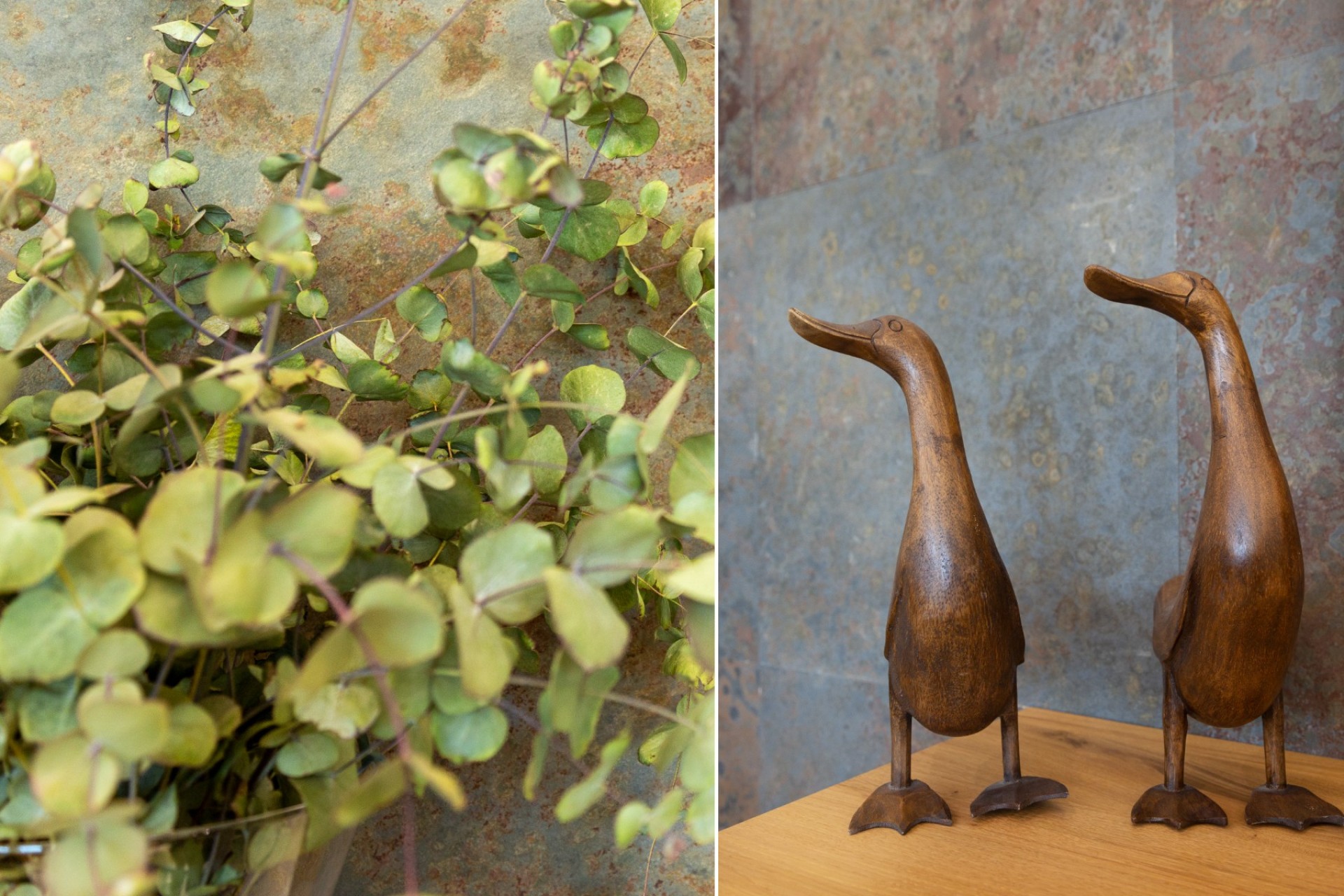 Revente - Villa - San Vicente de Raspeig - Los Girasoles