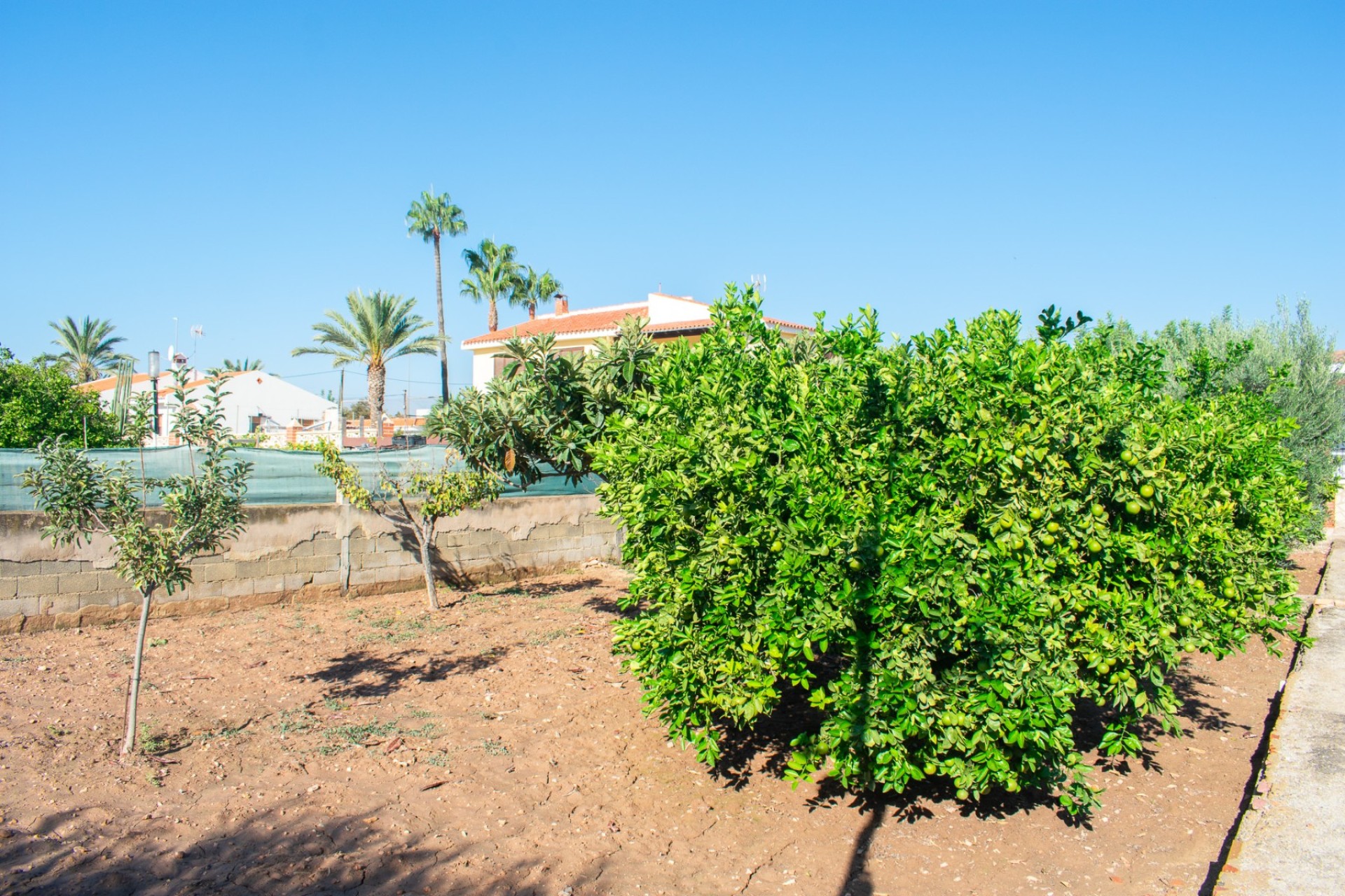 Revente - Villa - San Vicente de Raspeig - San Vicente del Raspeig