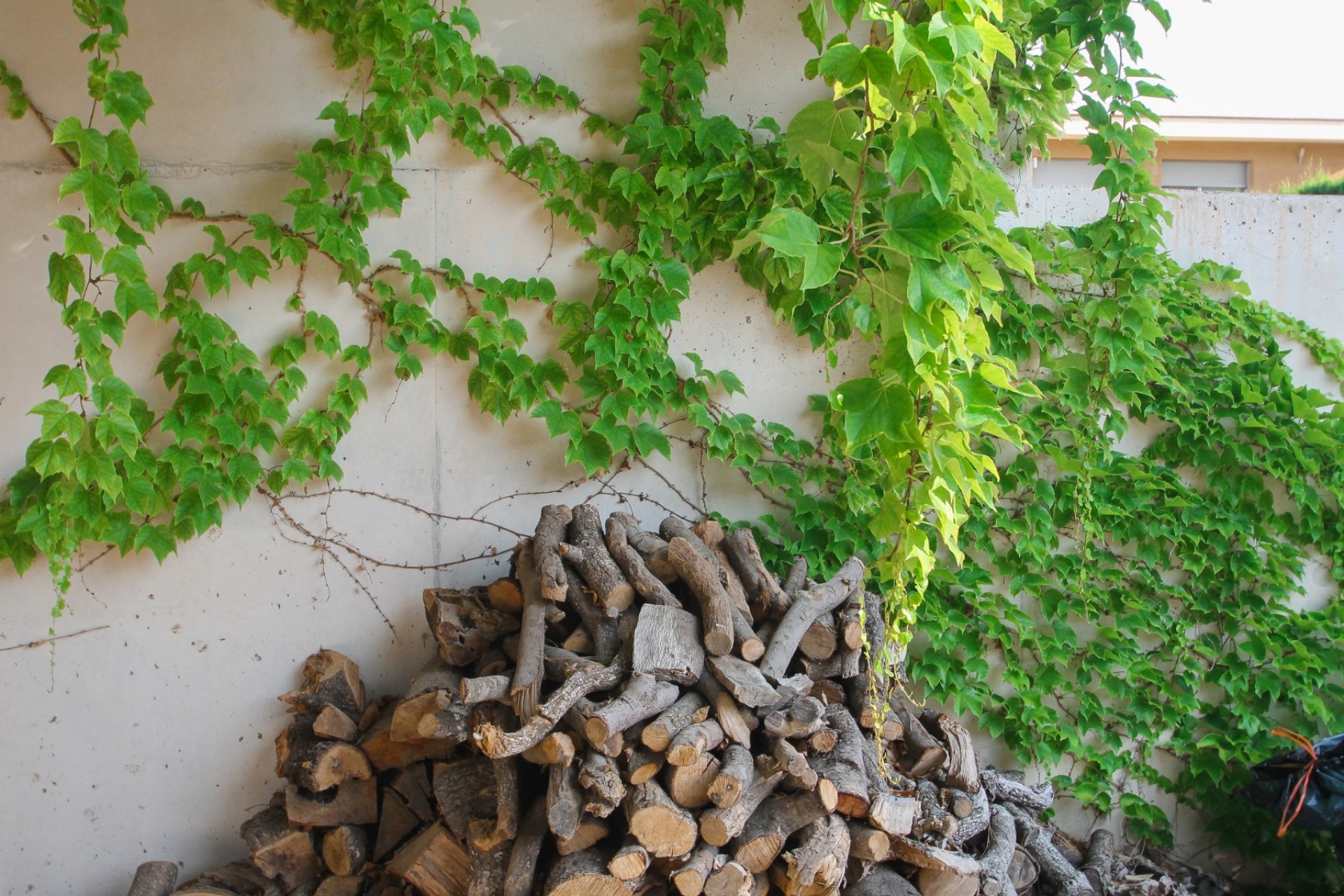 Revente - Villa - San Vicente de Raspeig - San Vicente del Raspeig