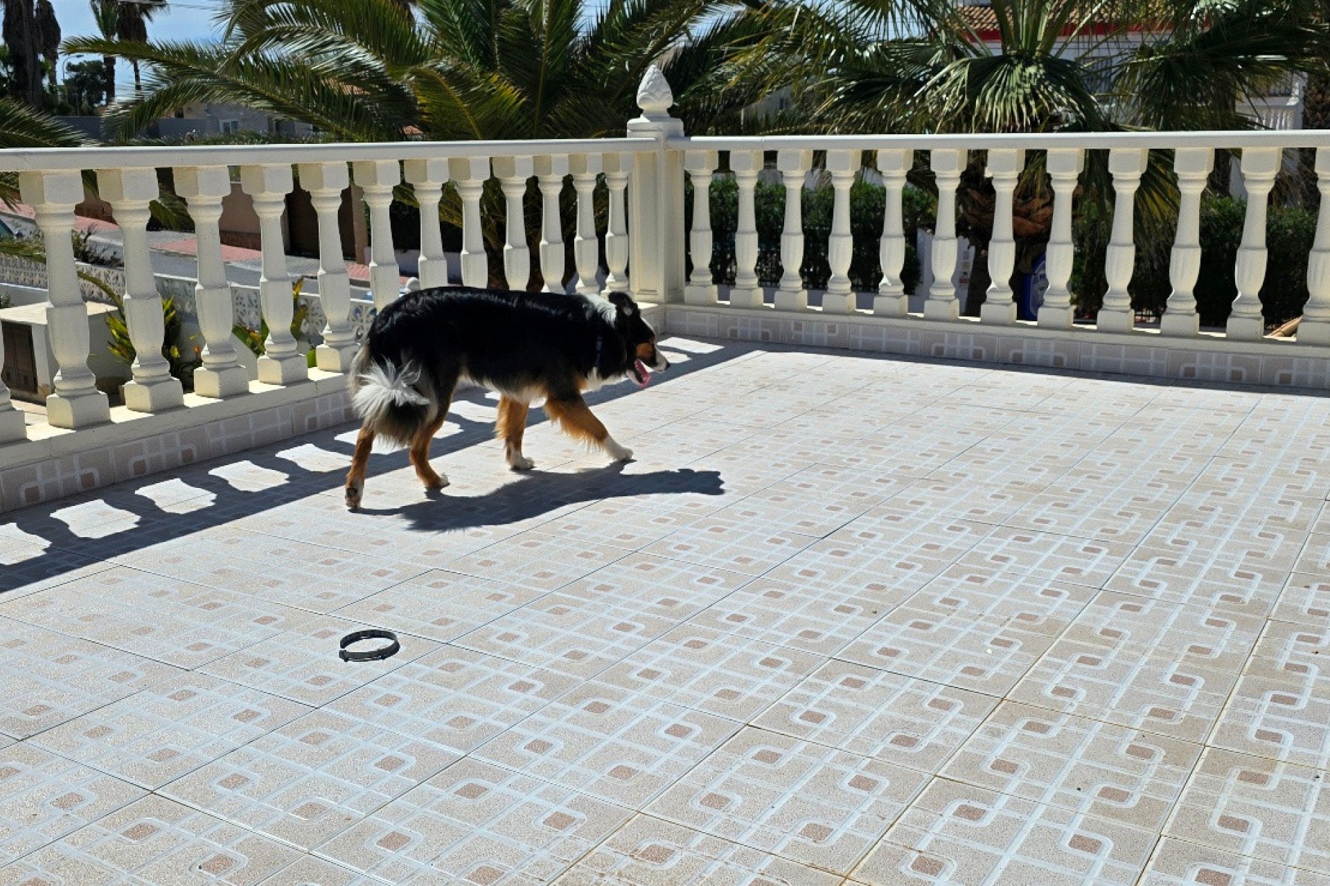 Revente - Villa - Torrevieja - El Chaparral