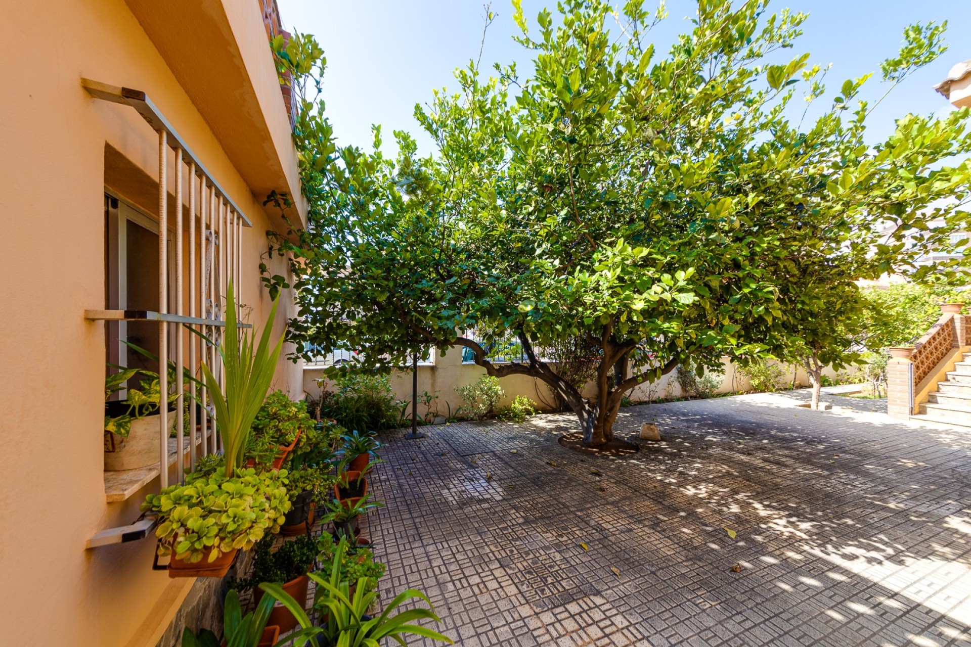 Revente - Villa - Torrevieja - La Mata