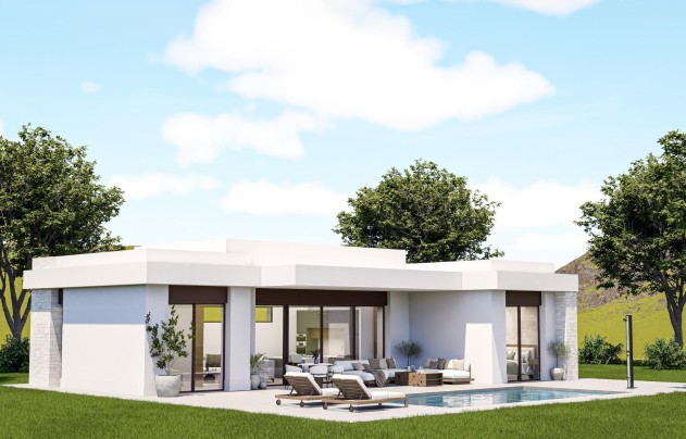 Villa - Nouvelle construction - Pinoso - Lel