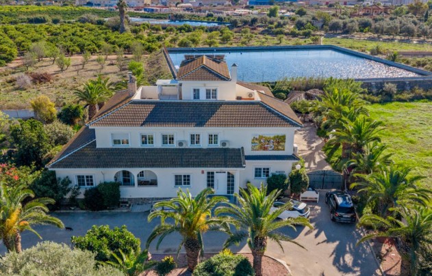 Villa - Resale - Los Montesinos - Los Montesinos