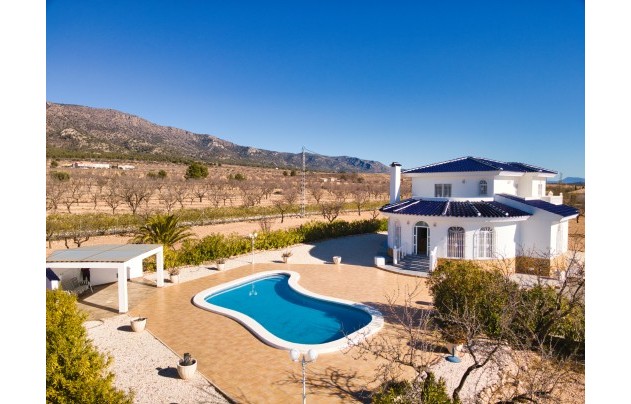 Villa - Revente - Pinoso - Pinoso